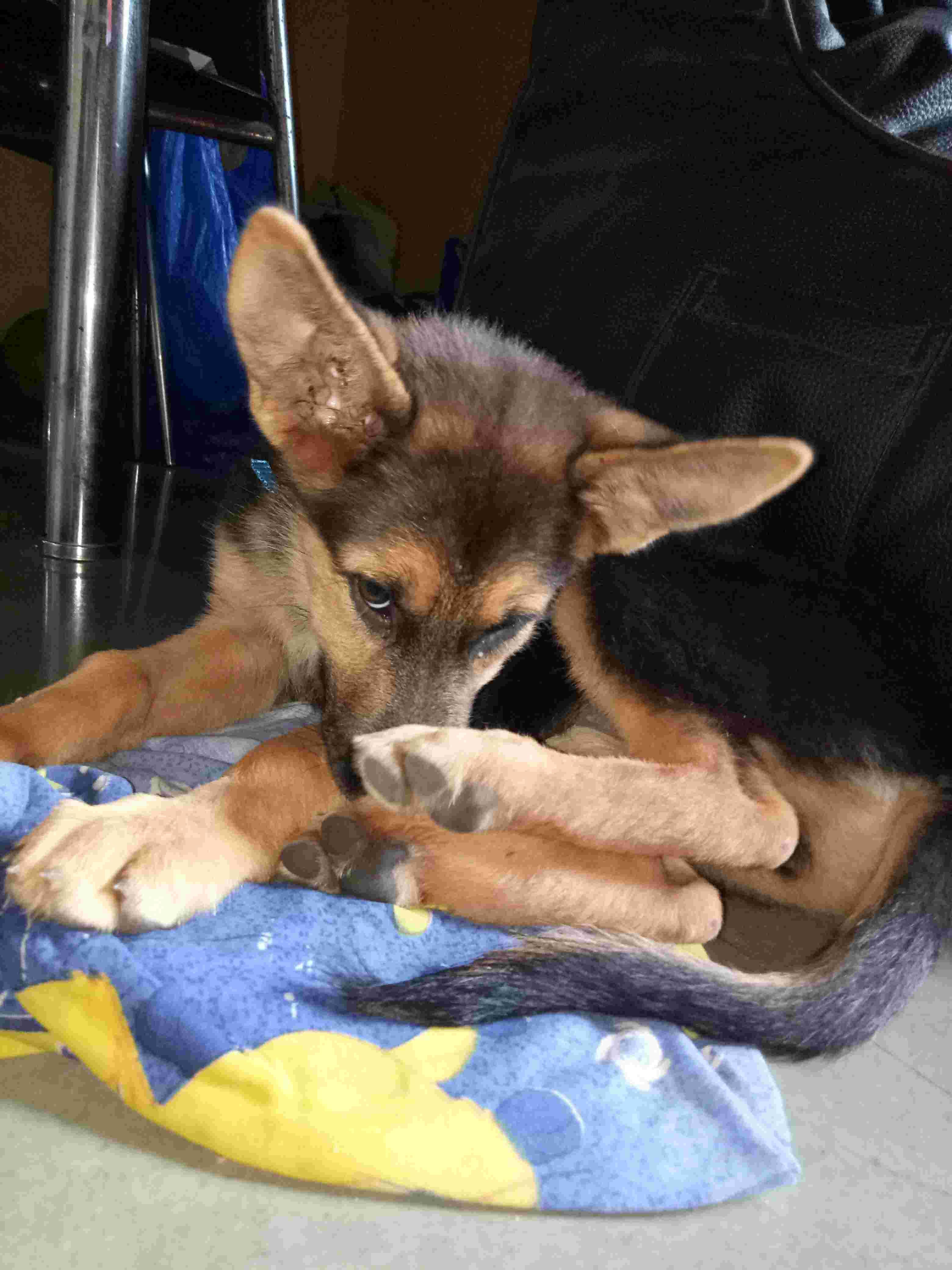 Question details sensitive content