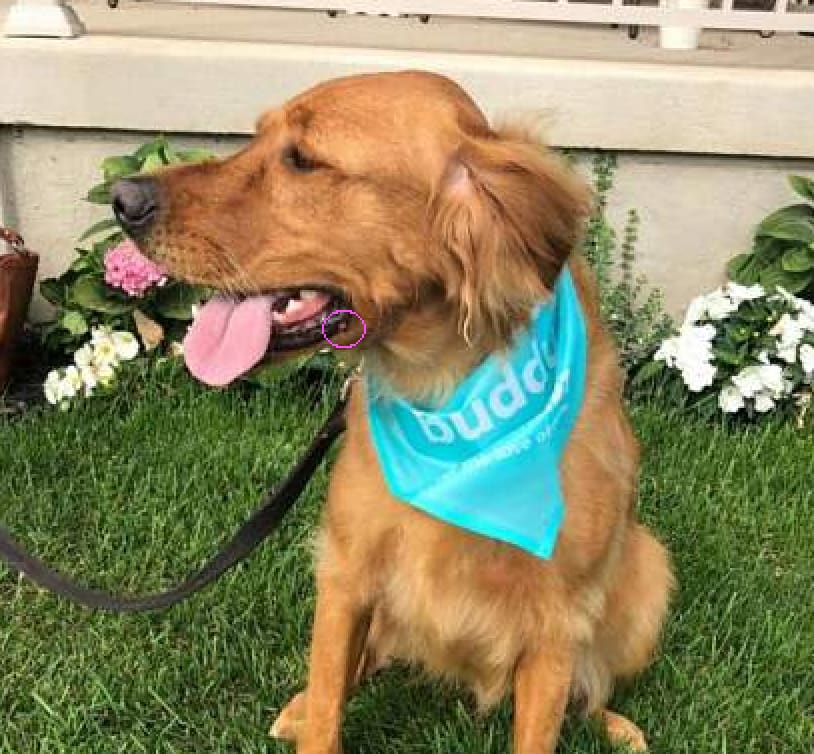 Question details sensitive content