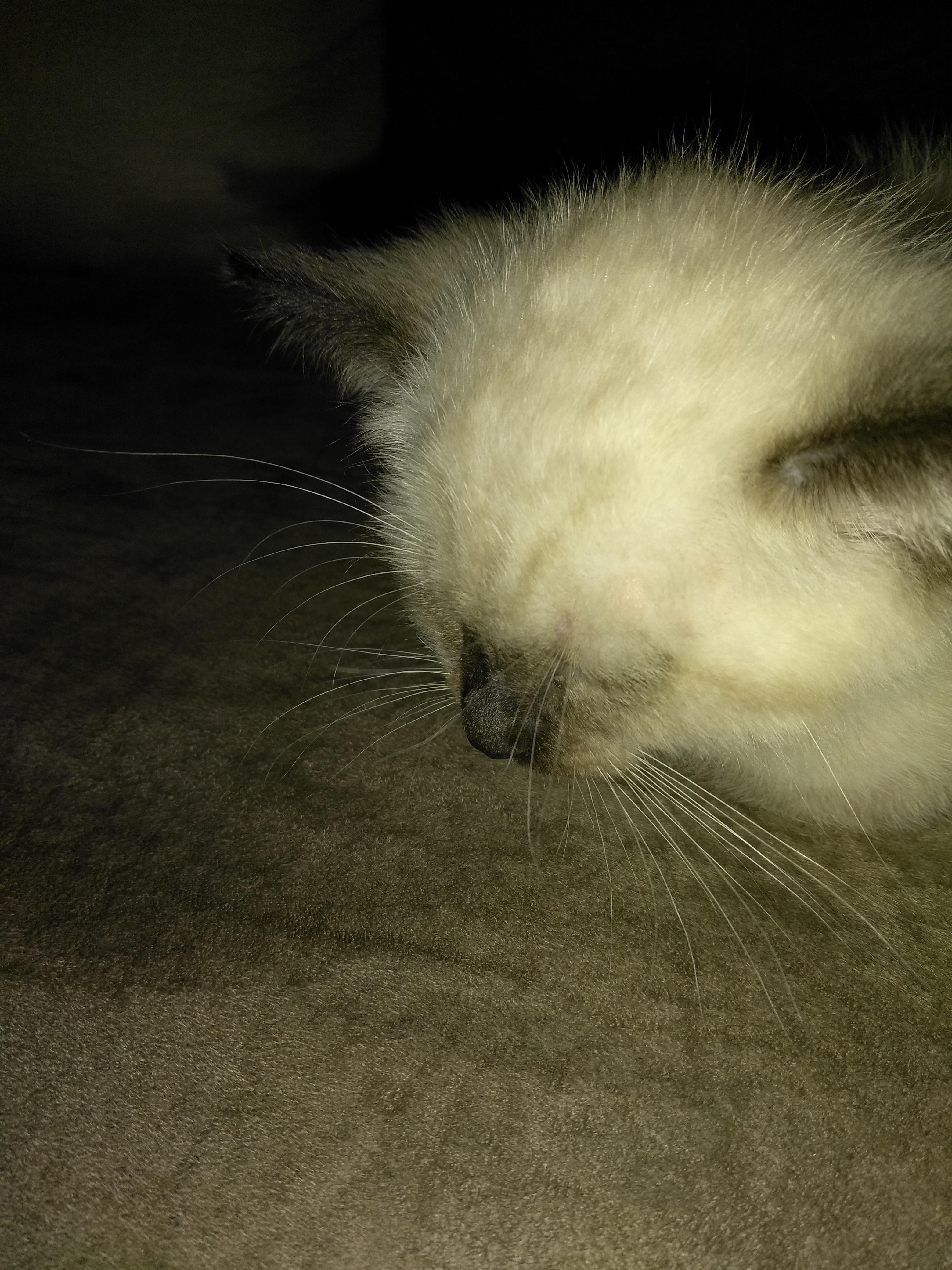 Question details sensitive content