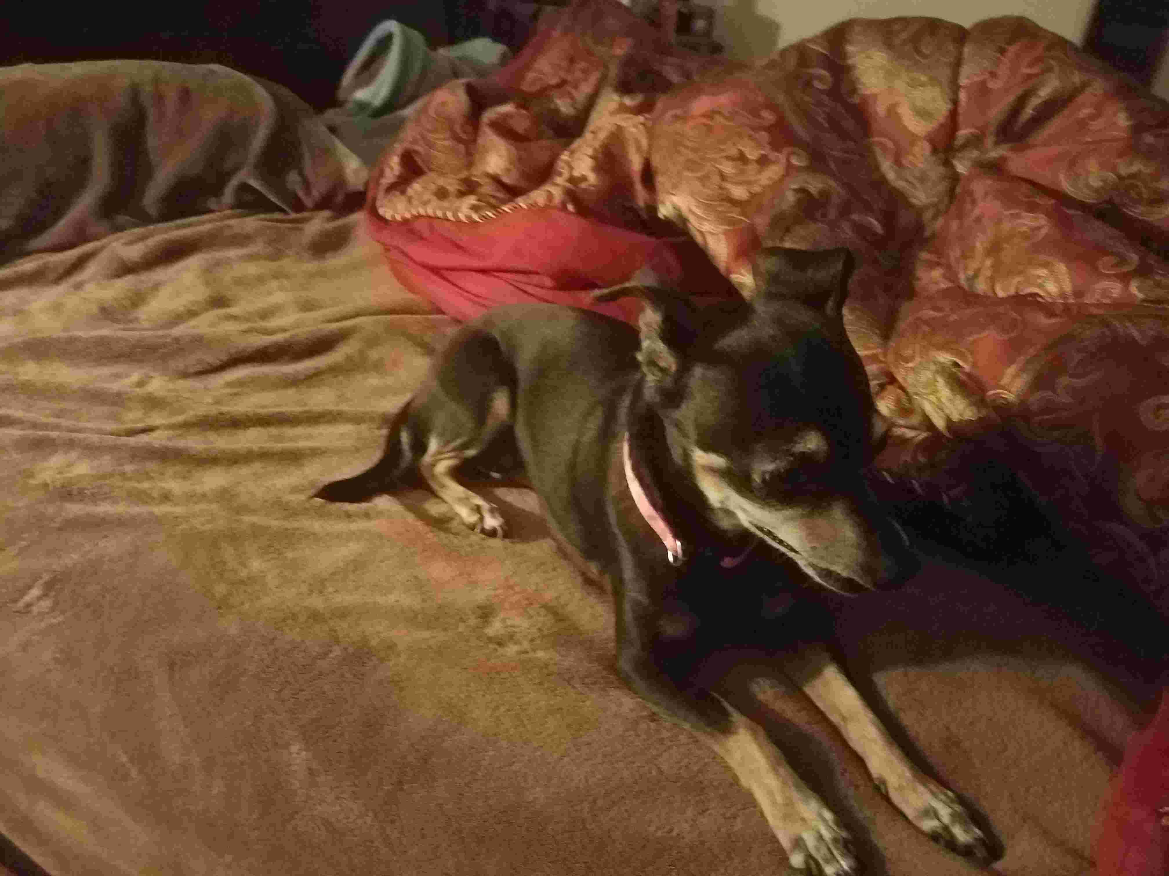 Question details sensitive content