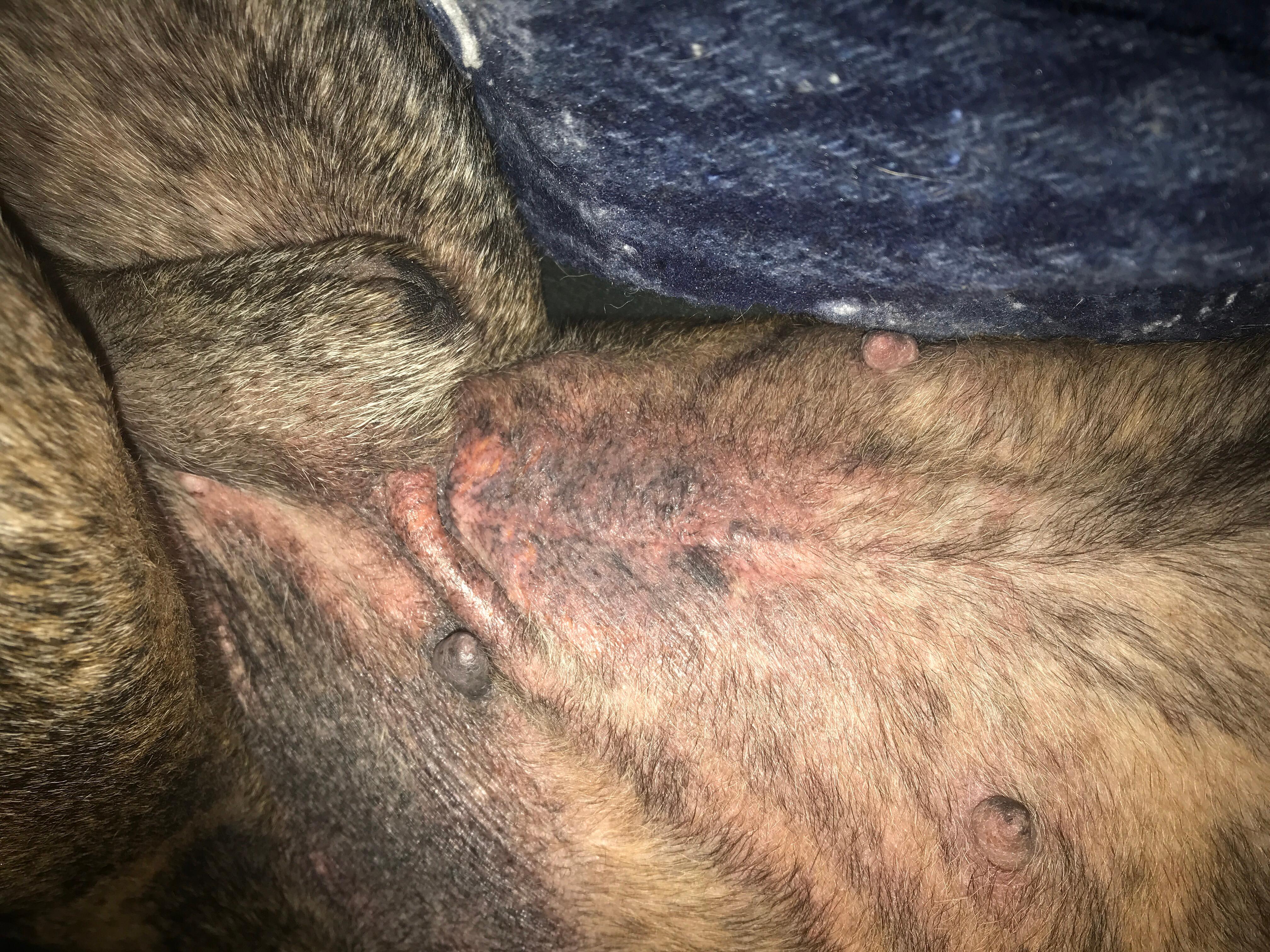 Question details sensitive content