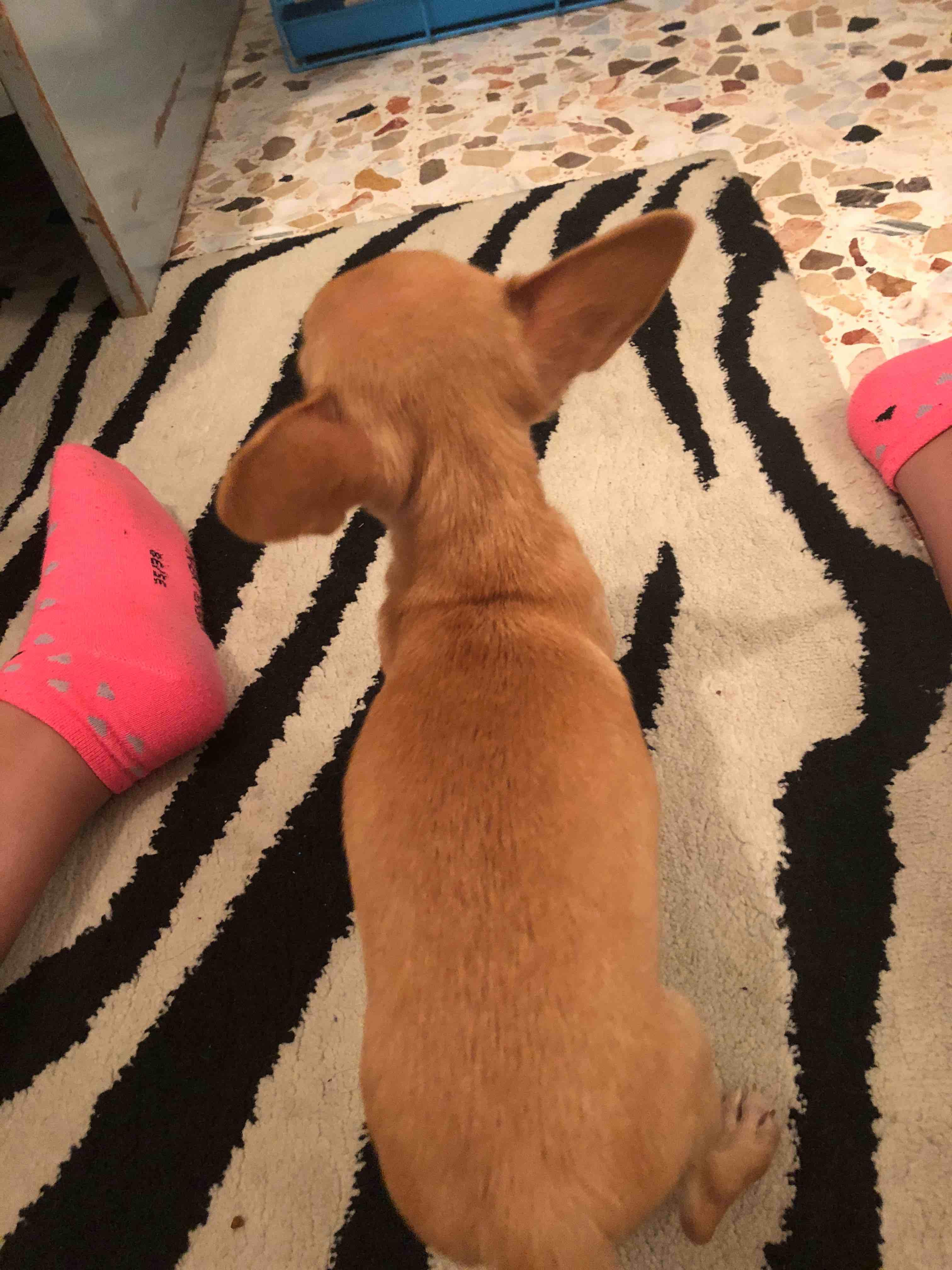 Question details sensitive content