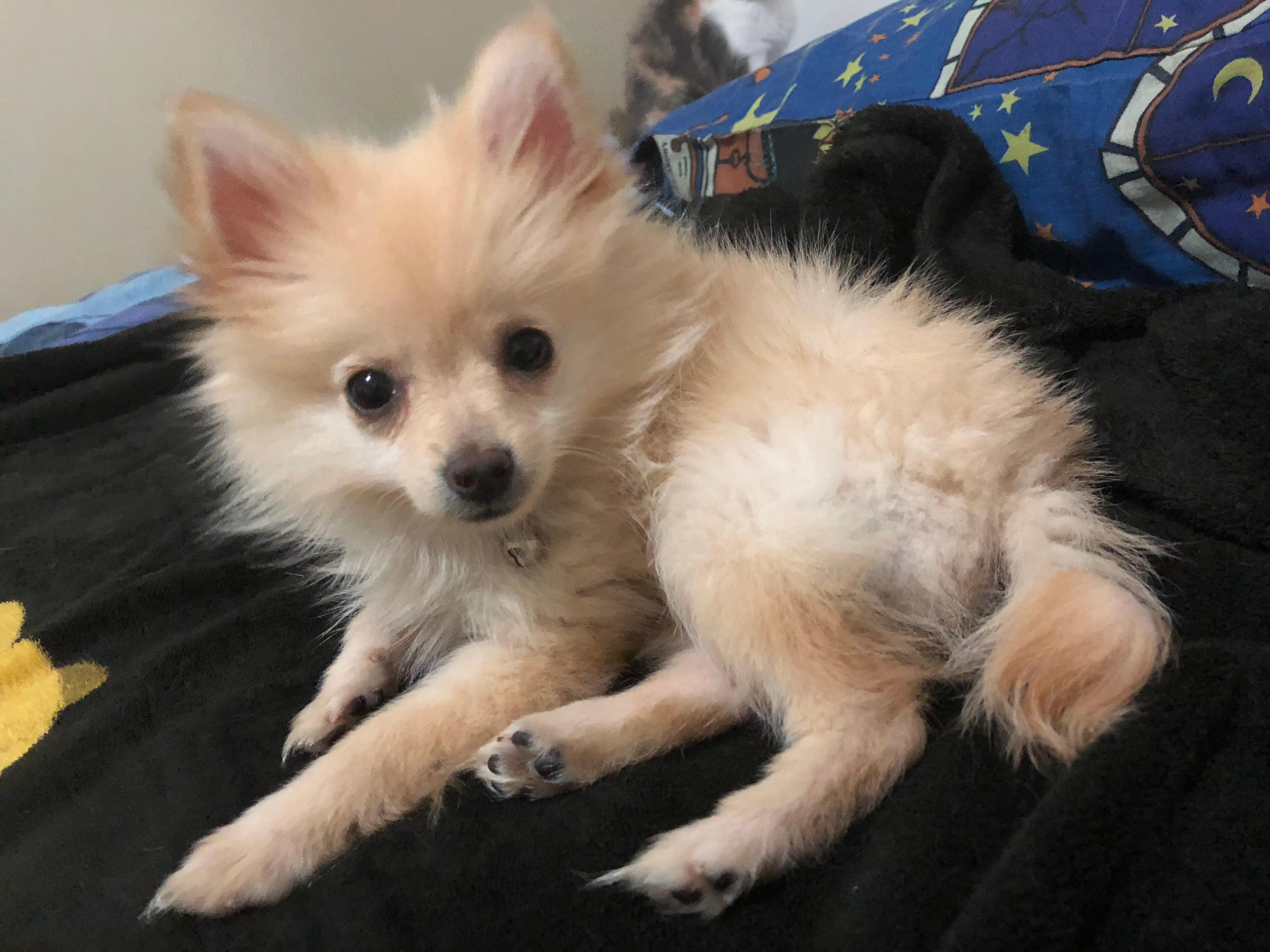 Question details sensitive content