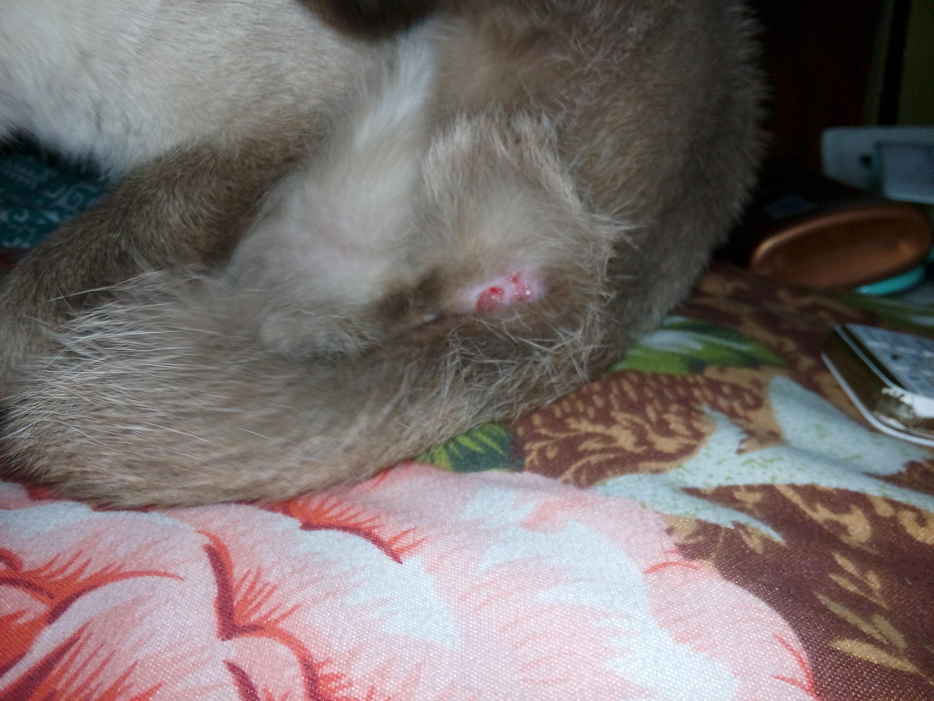 Question details sensitive content