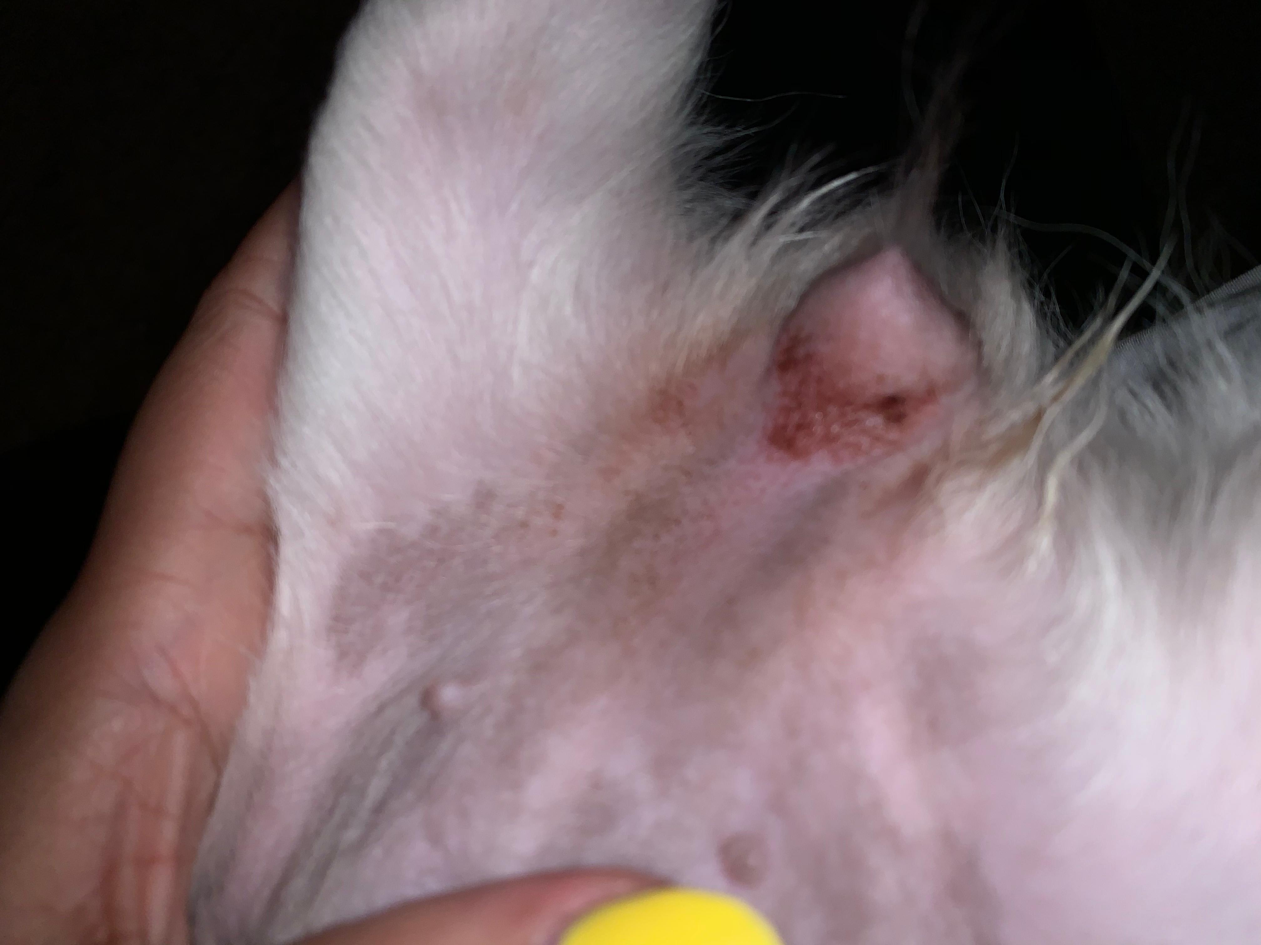 Question details sensitive content