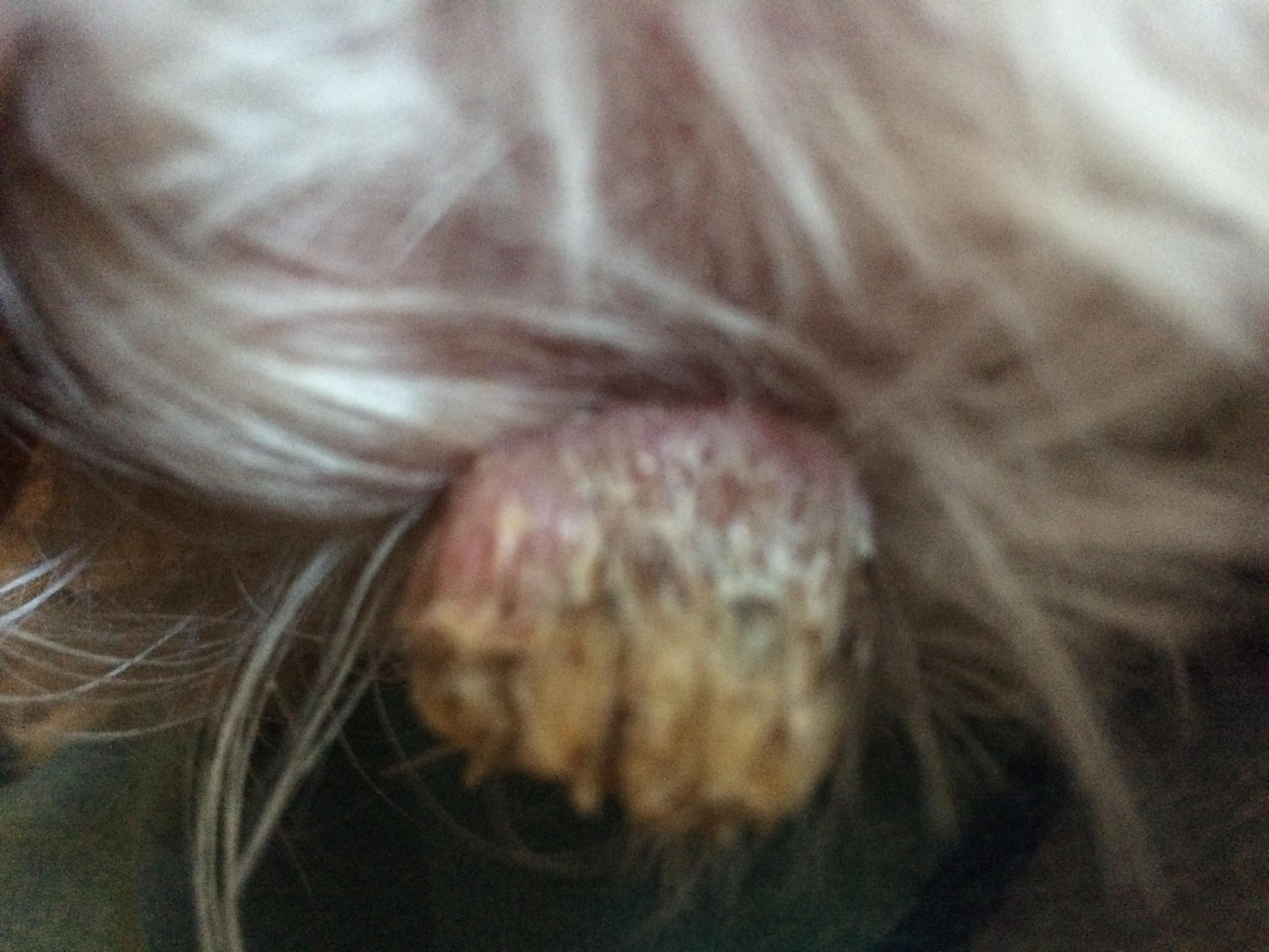 Question details sensitive content