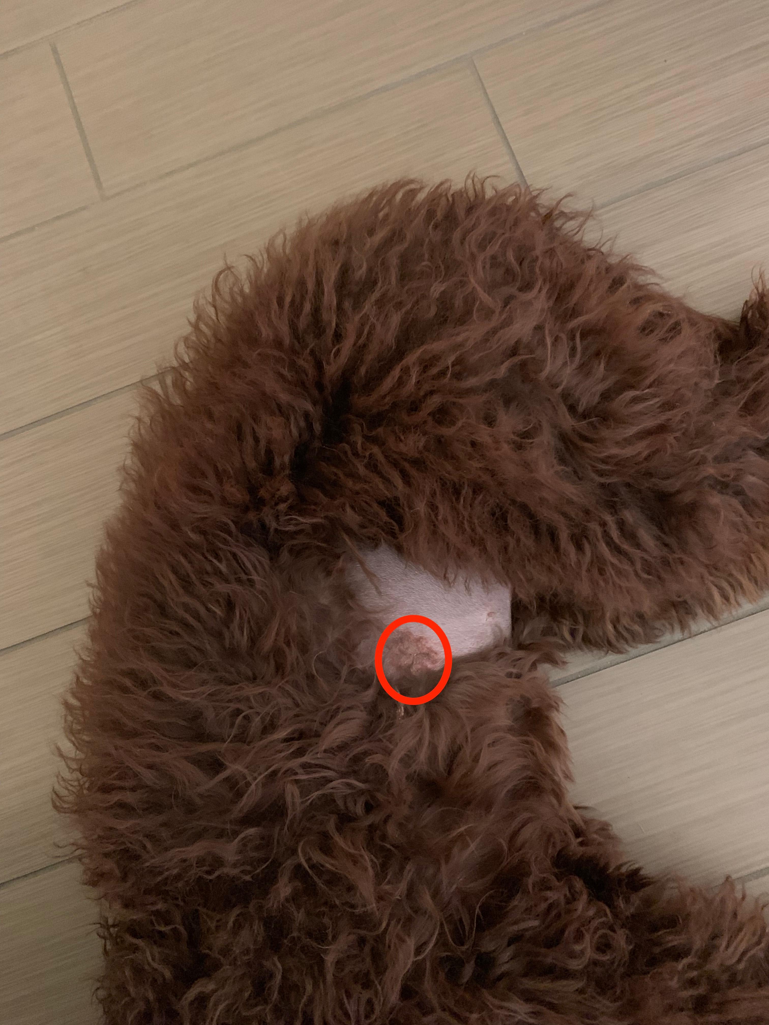 Question details sensitive content