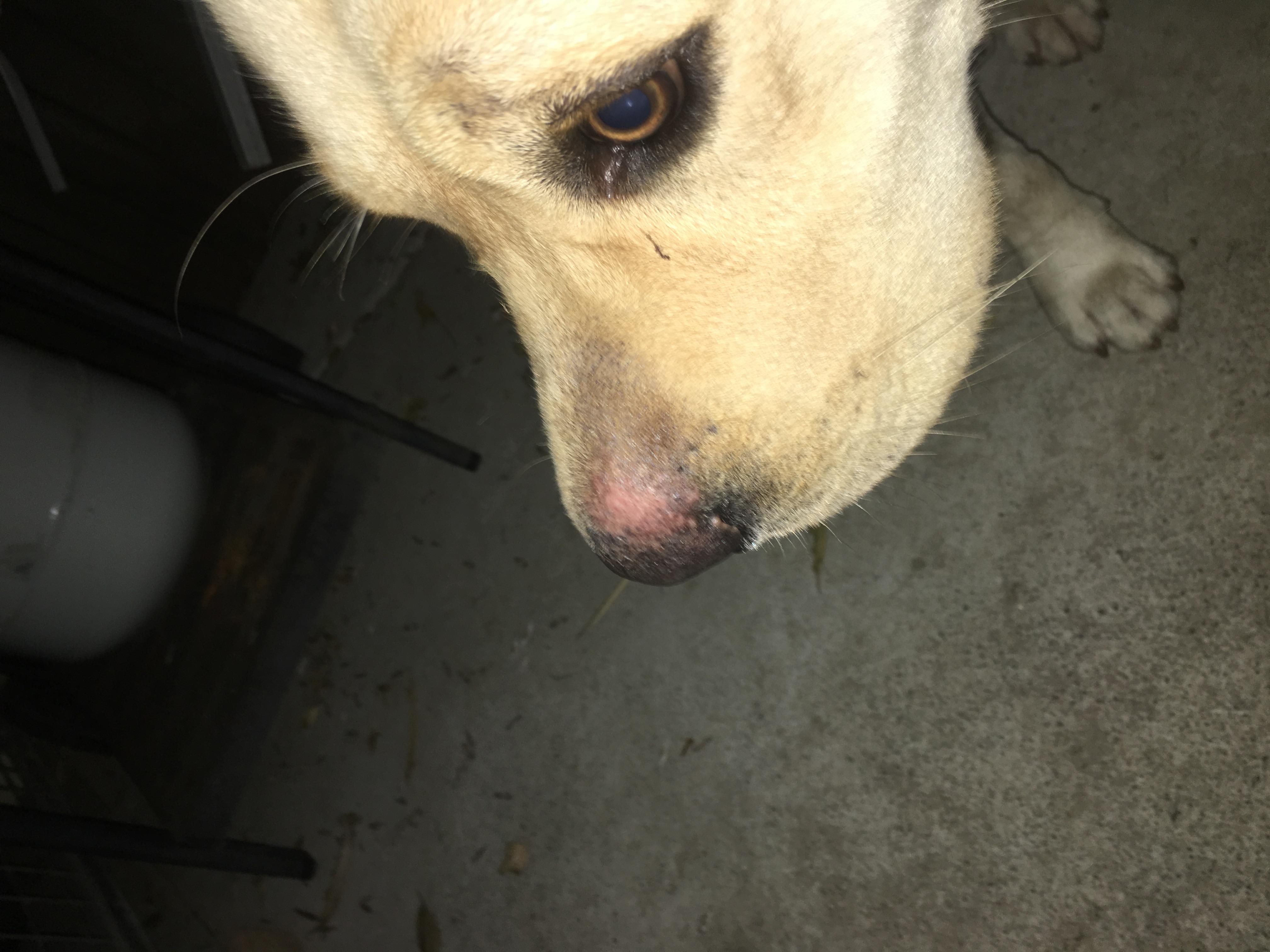 Question details sensitive content