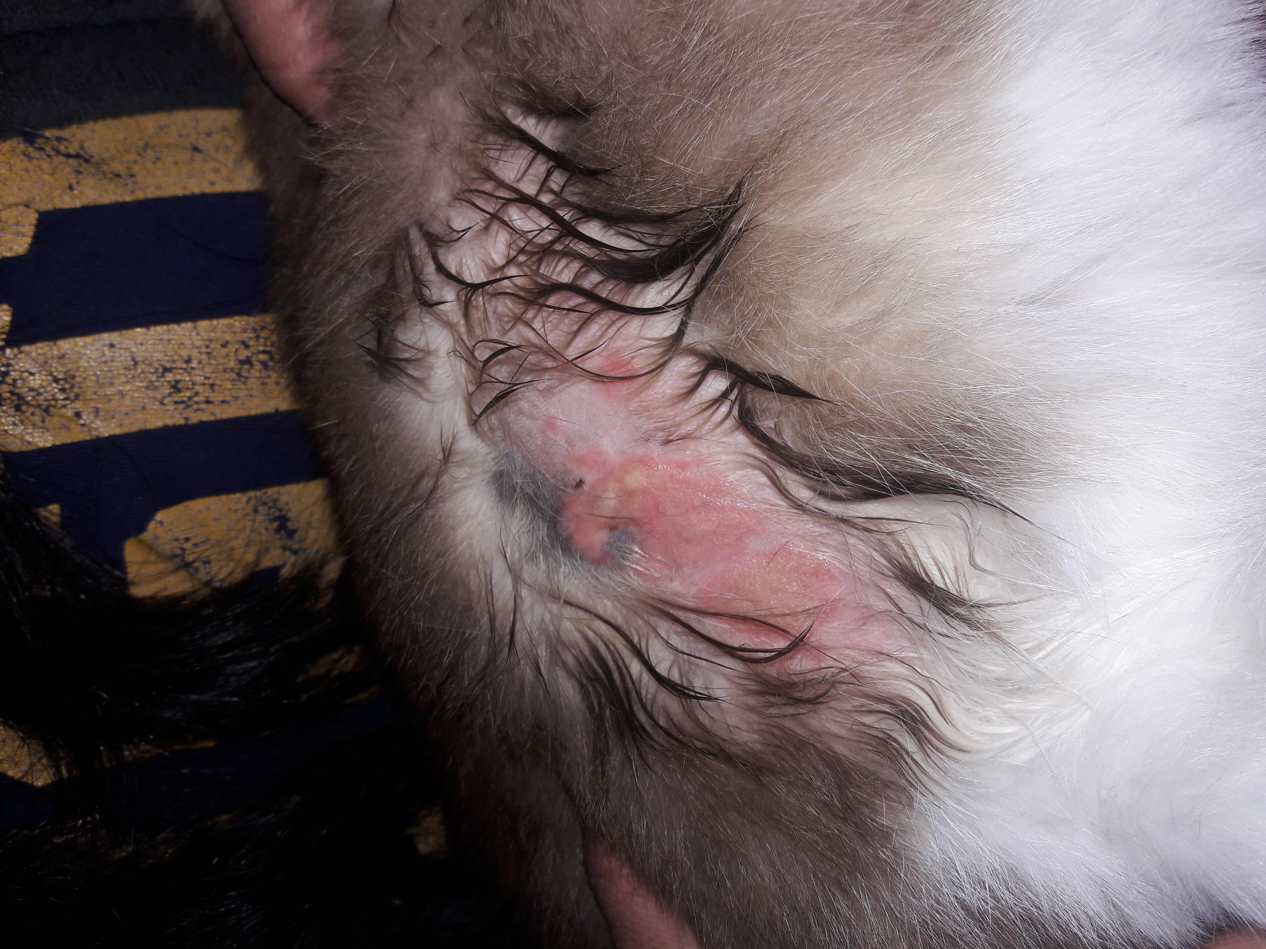 Question details sensitive content