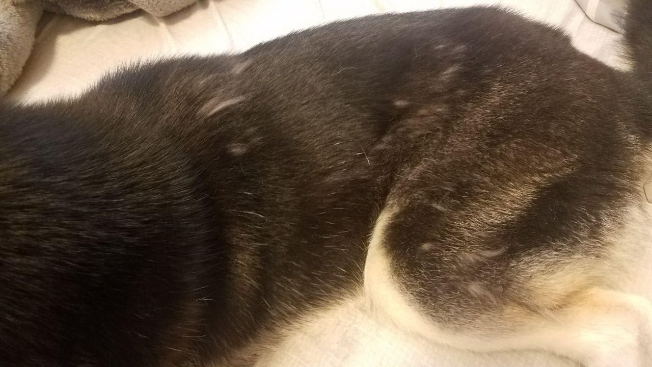 Question details sensitive content