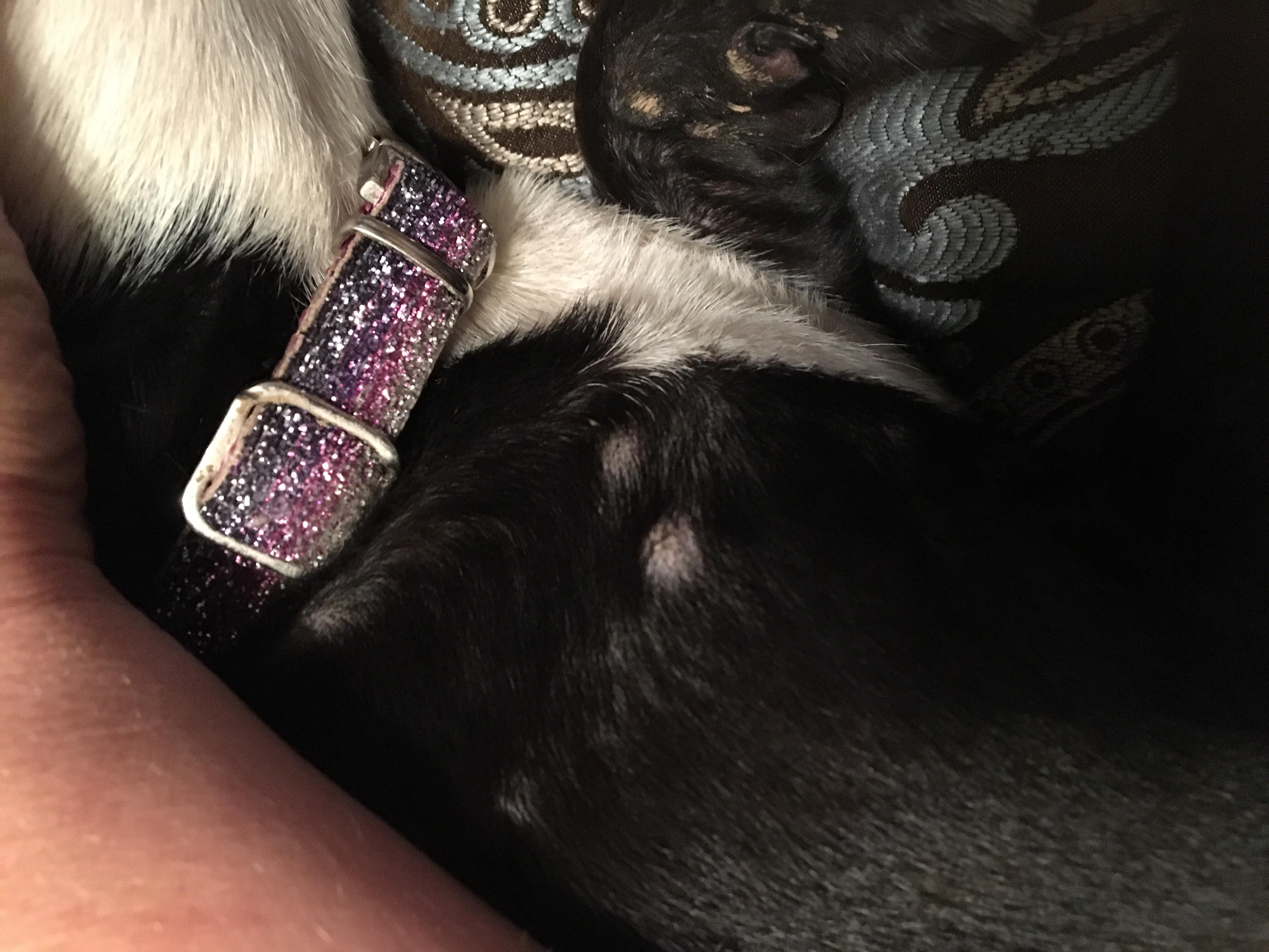 Question details sensitive content