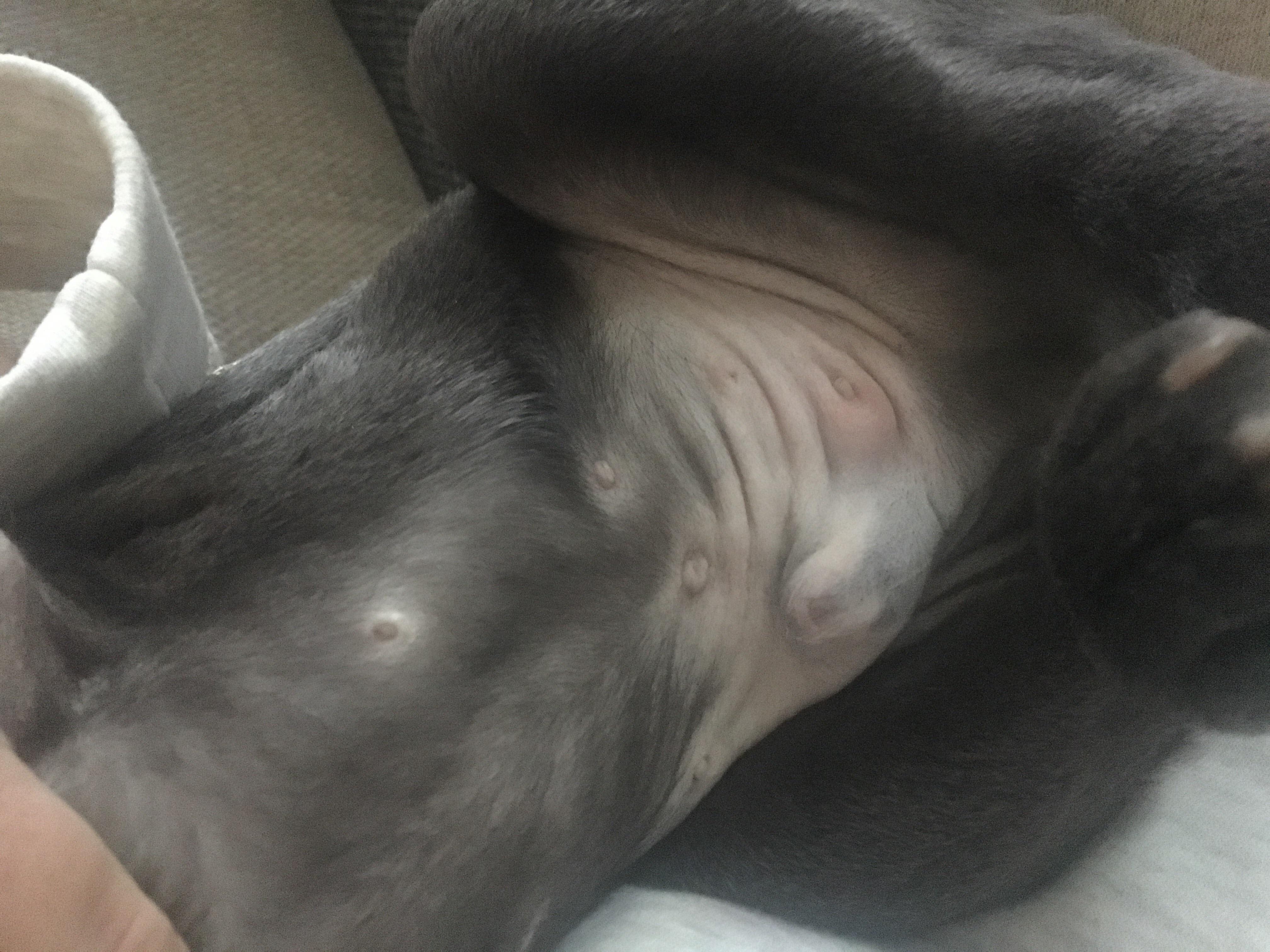 Question details sensitive content