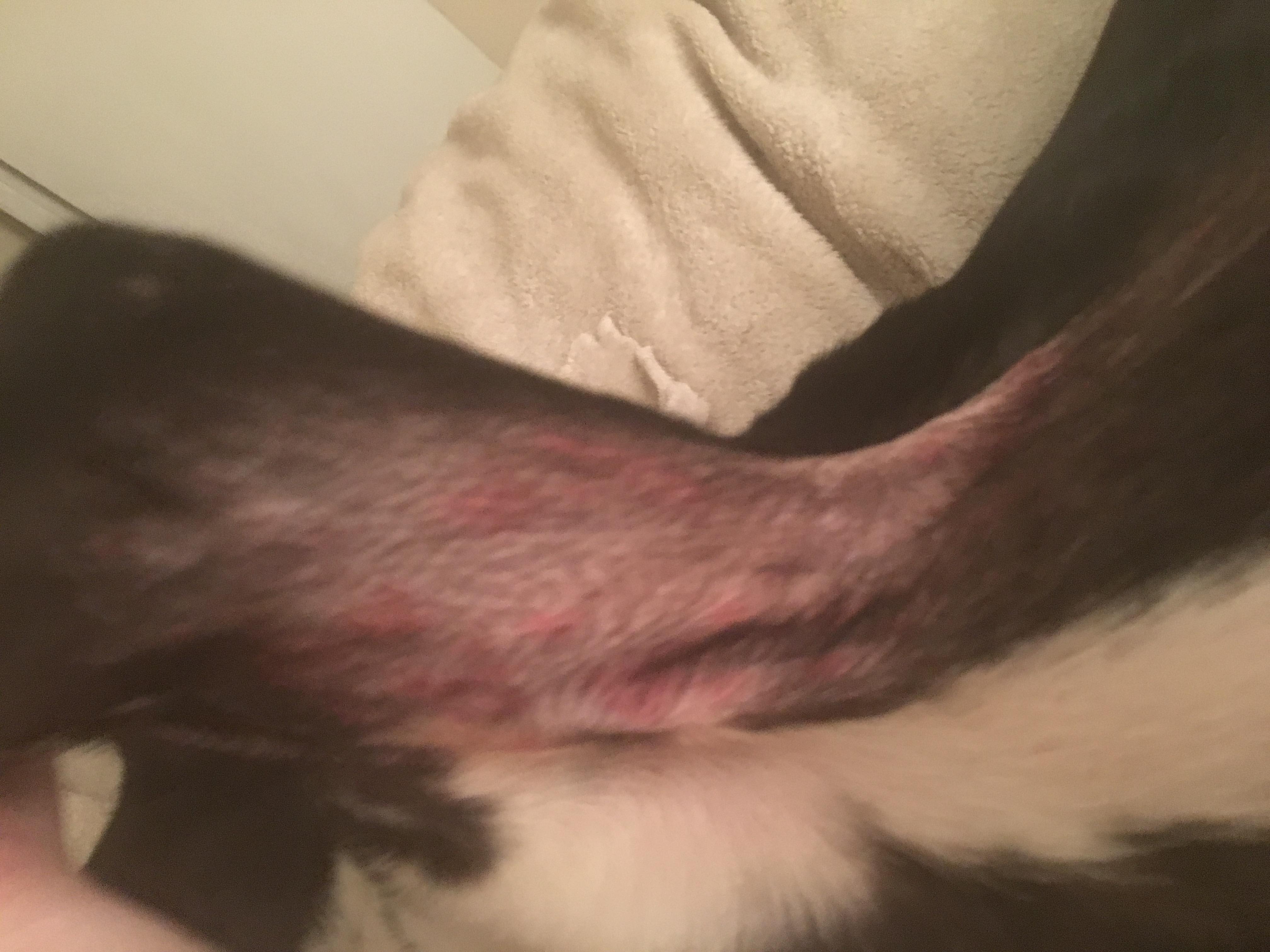 Question details sensitive content