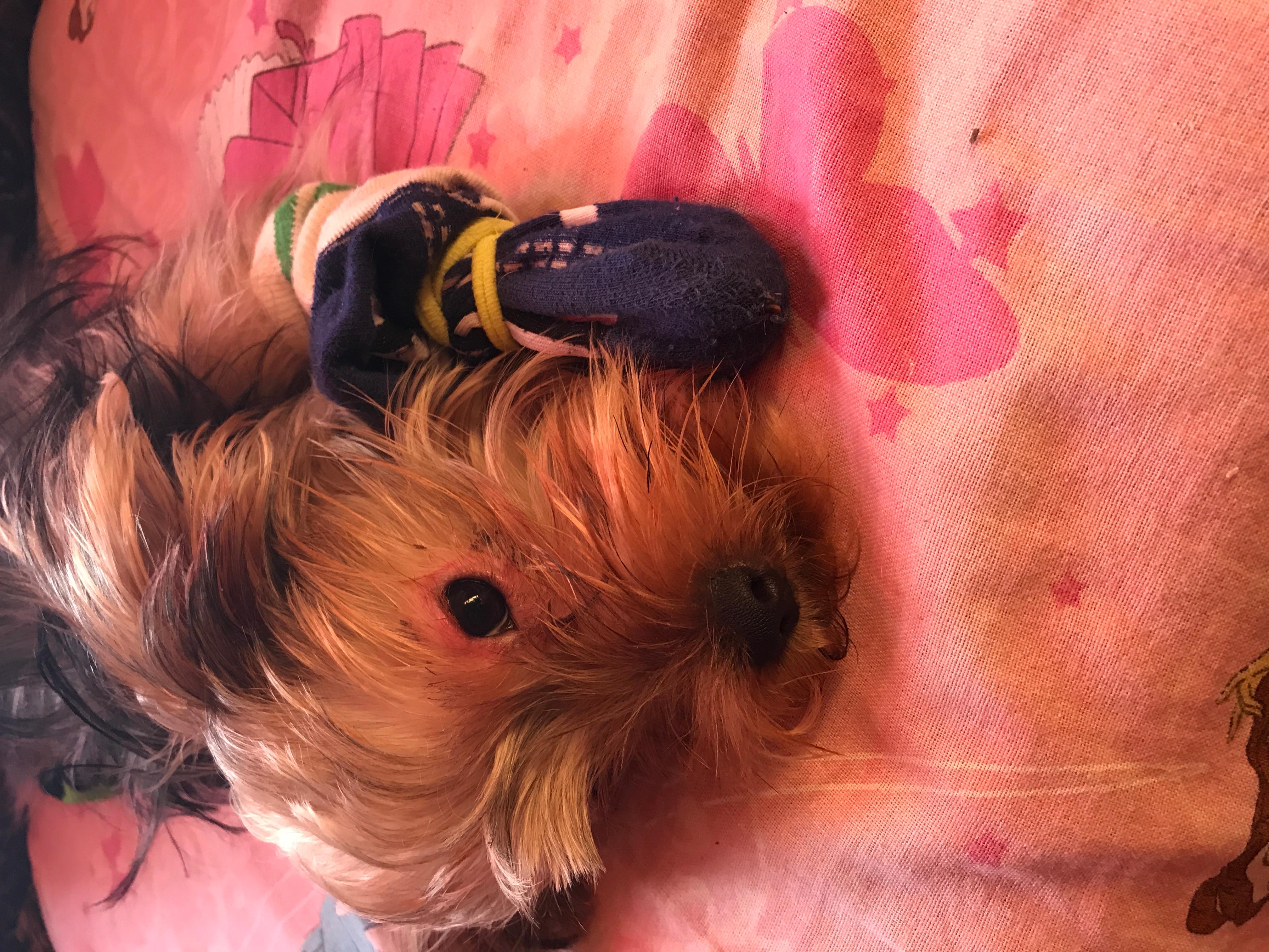 Question details sensitive content