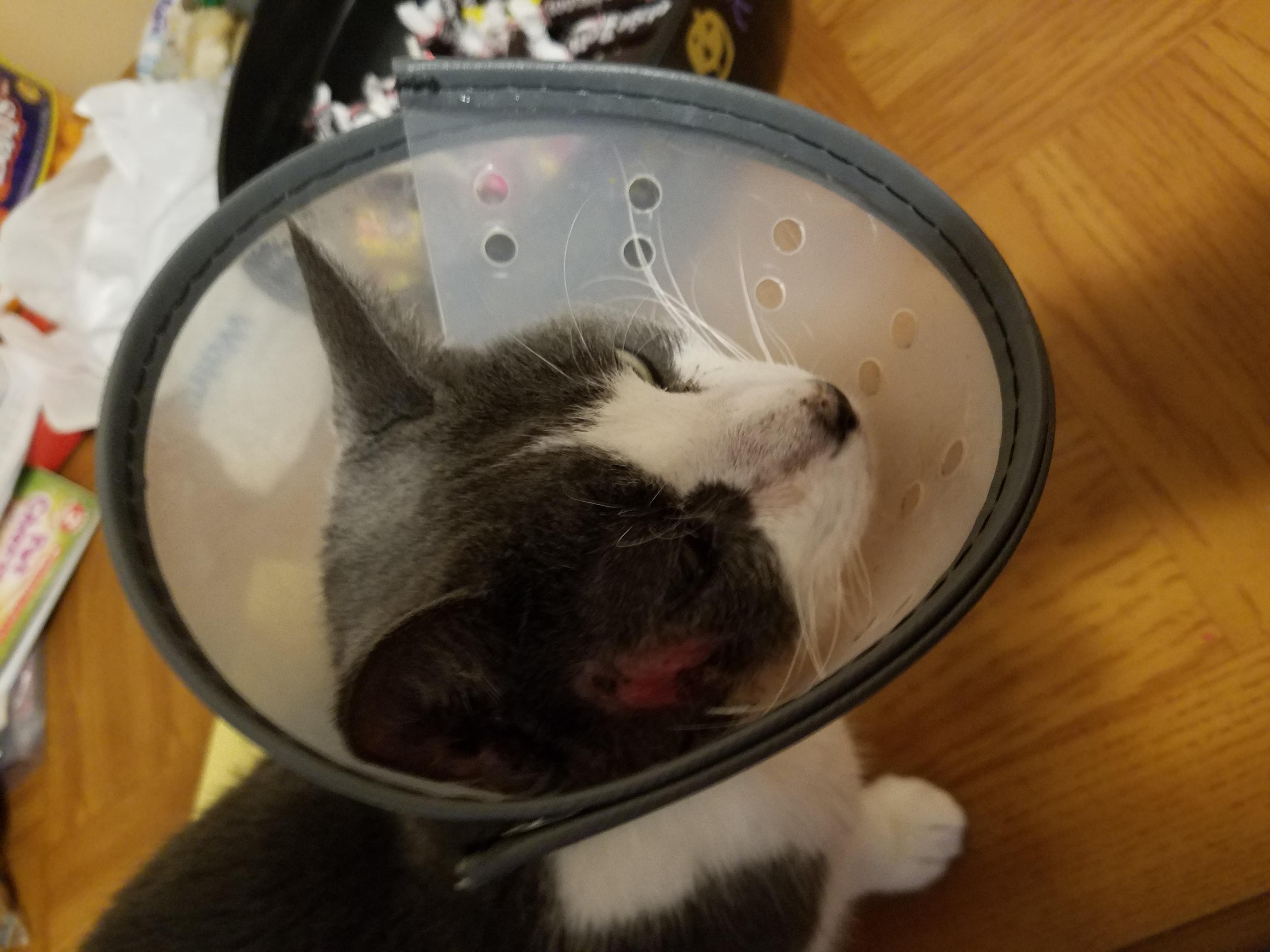 Question details sensitive content