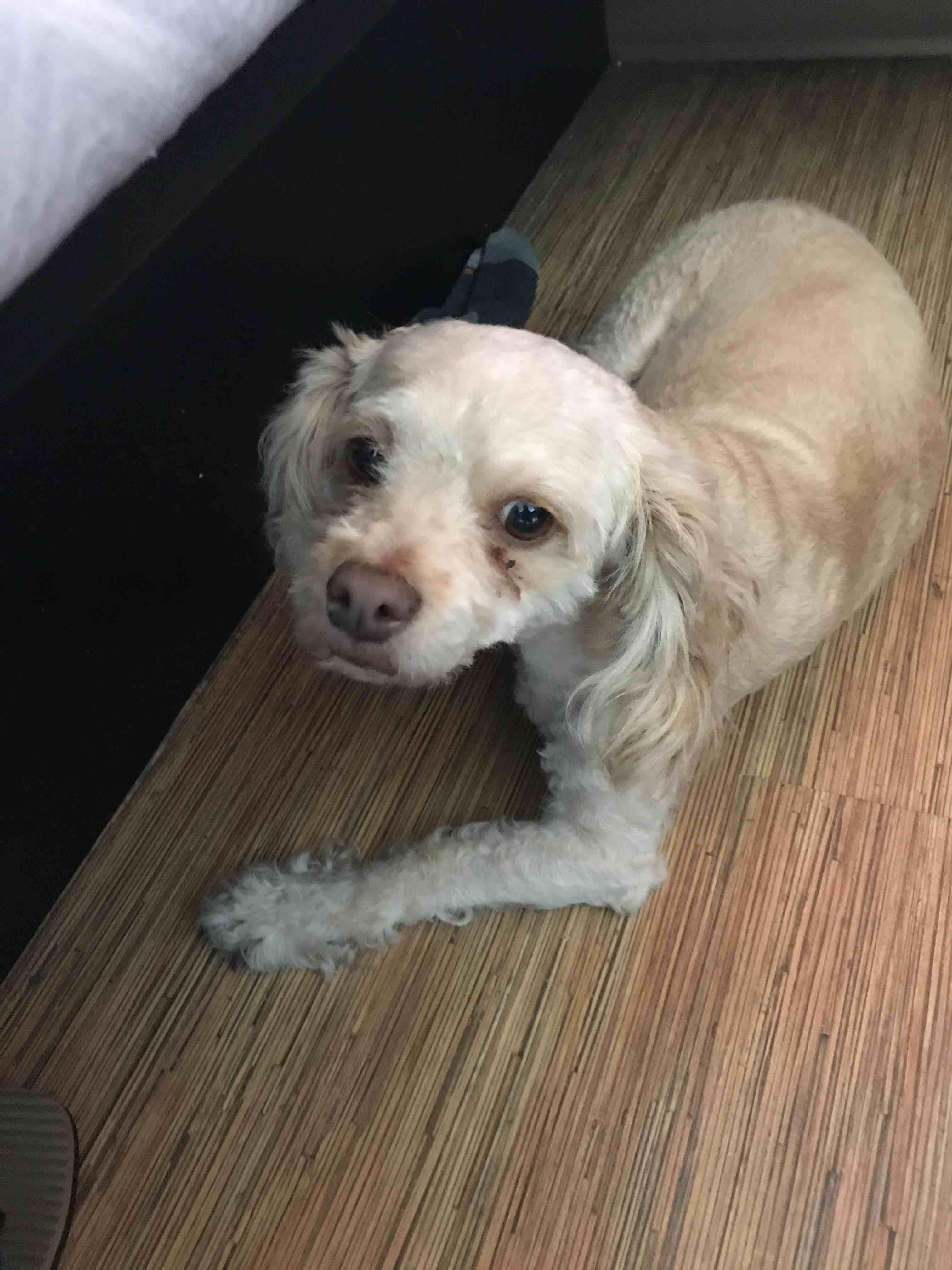 Question details sensitive content