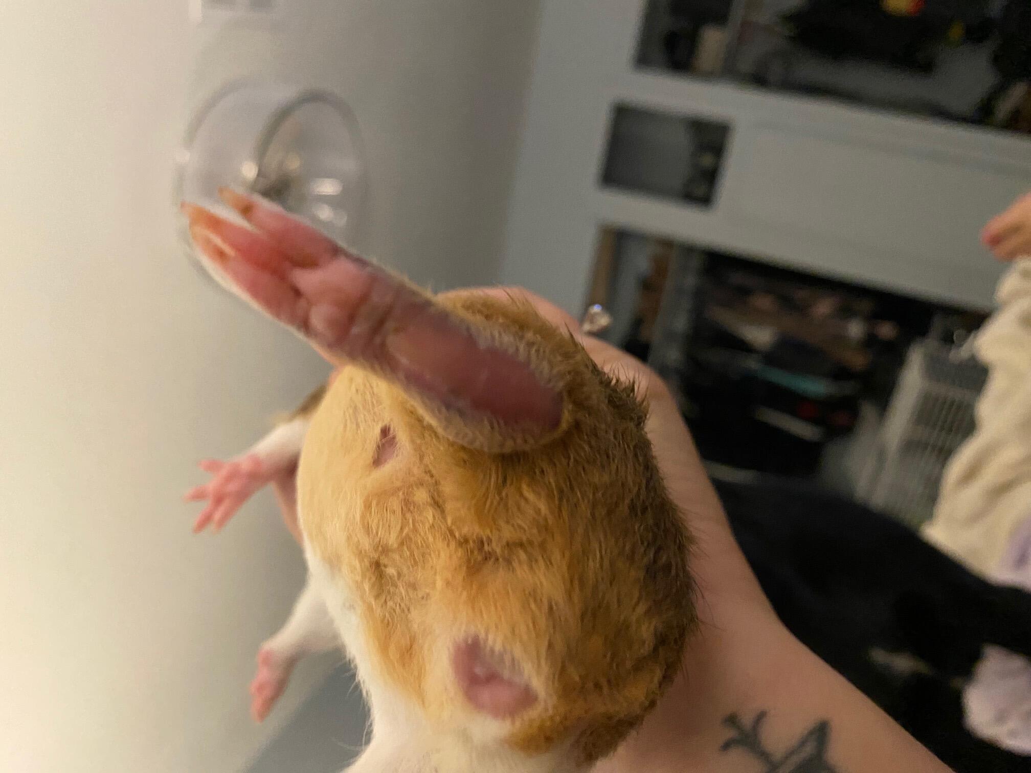 Question details sensitive content