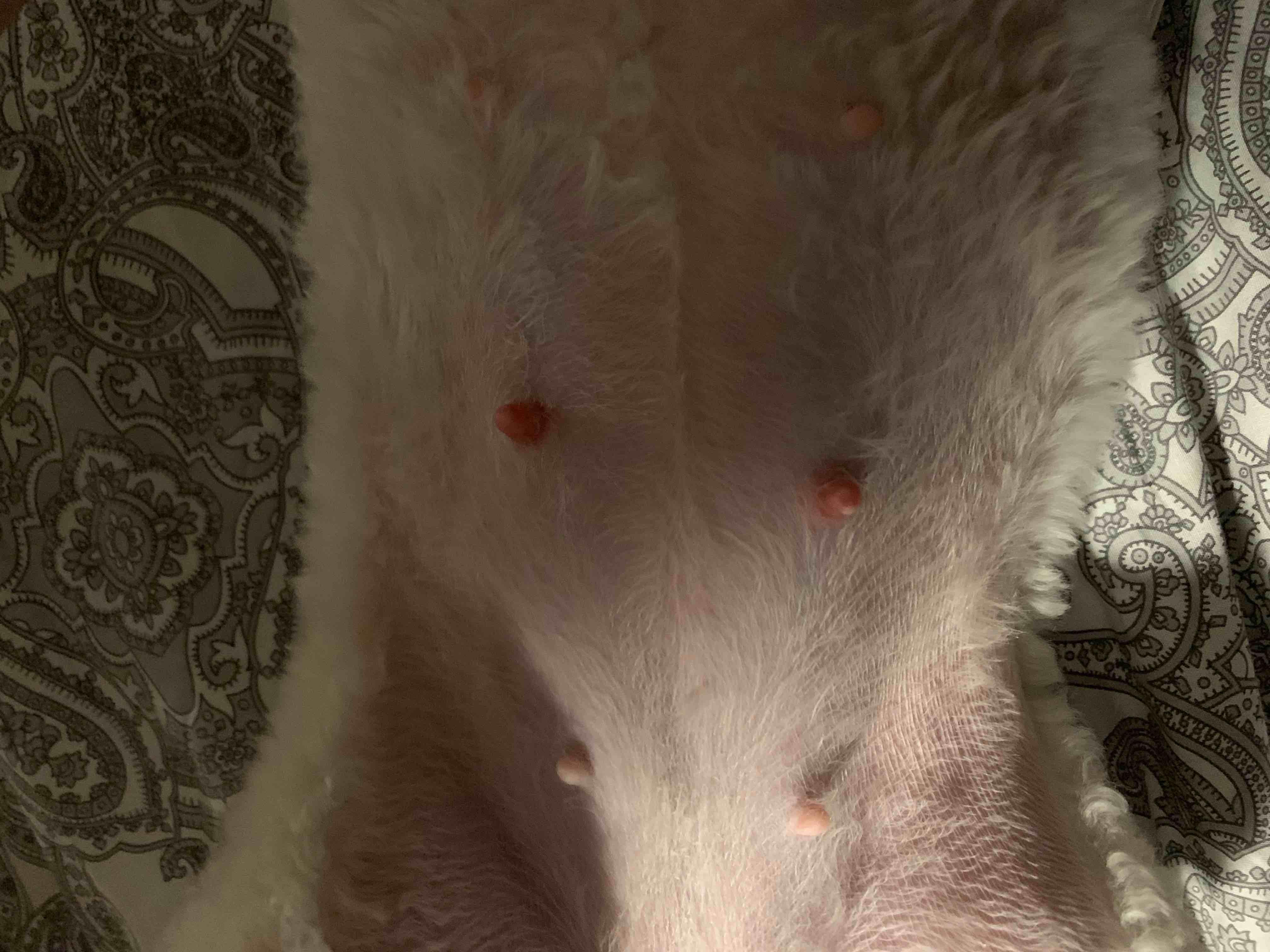 Question details sensitive content