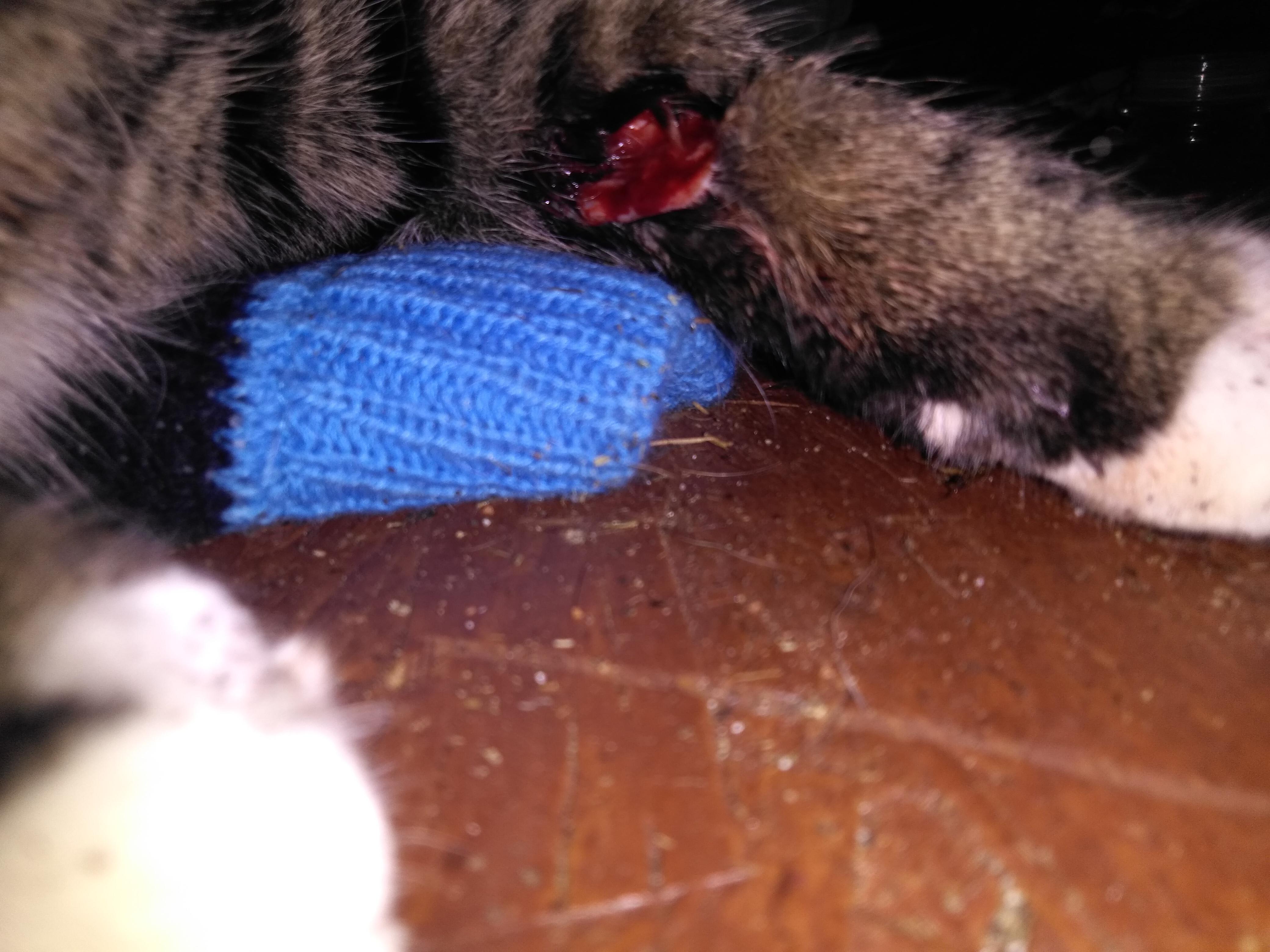 Question details sensitive content