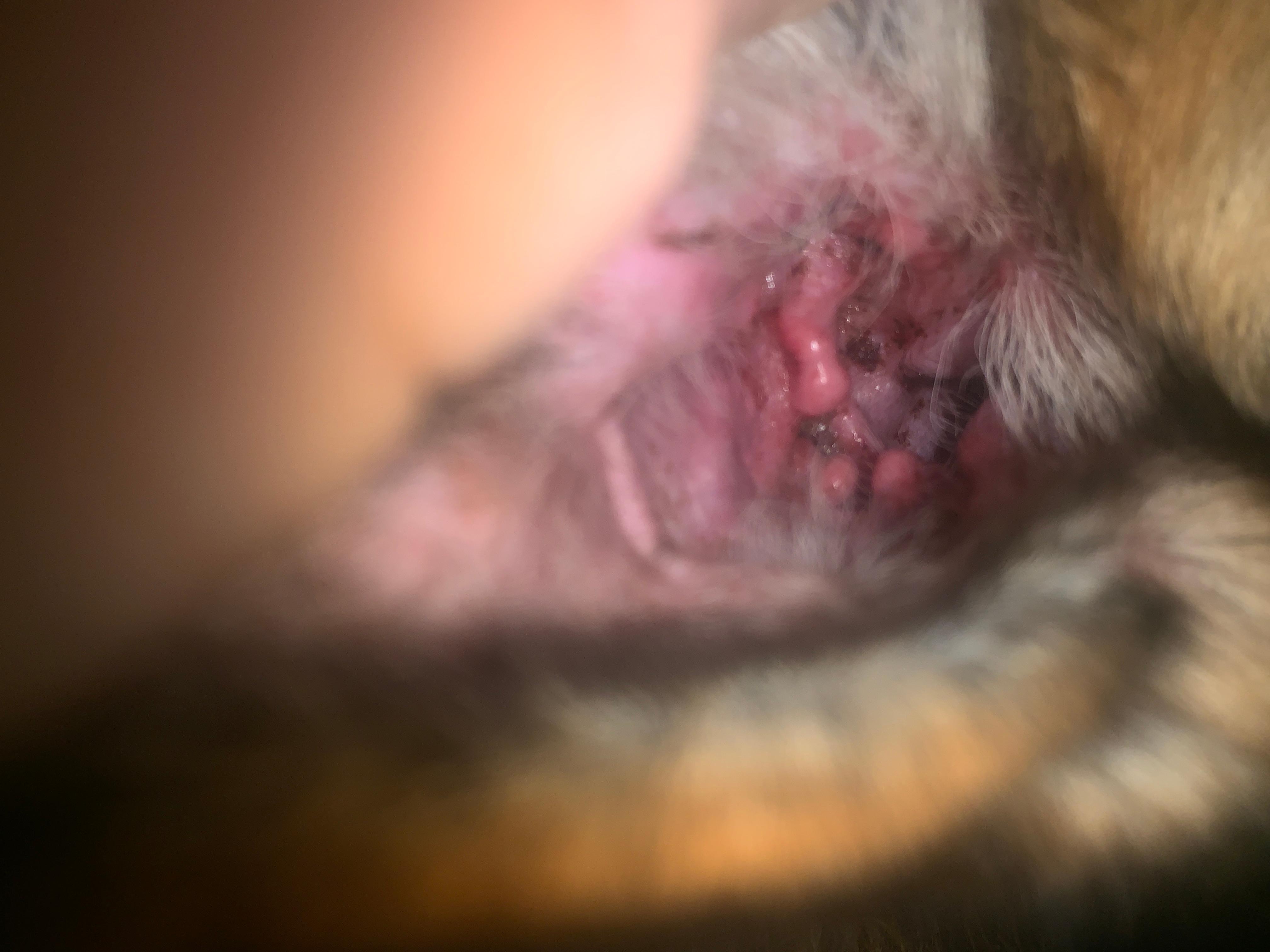 Question details sensitive content