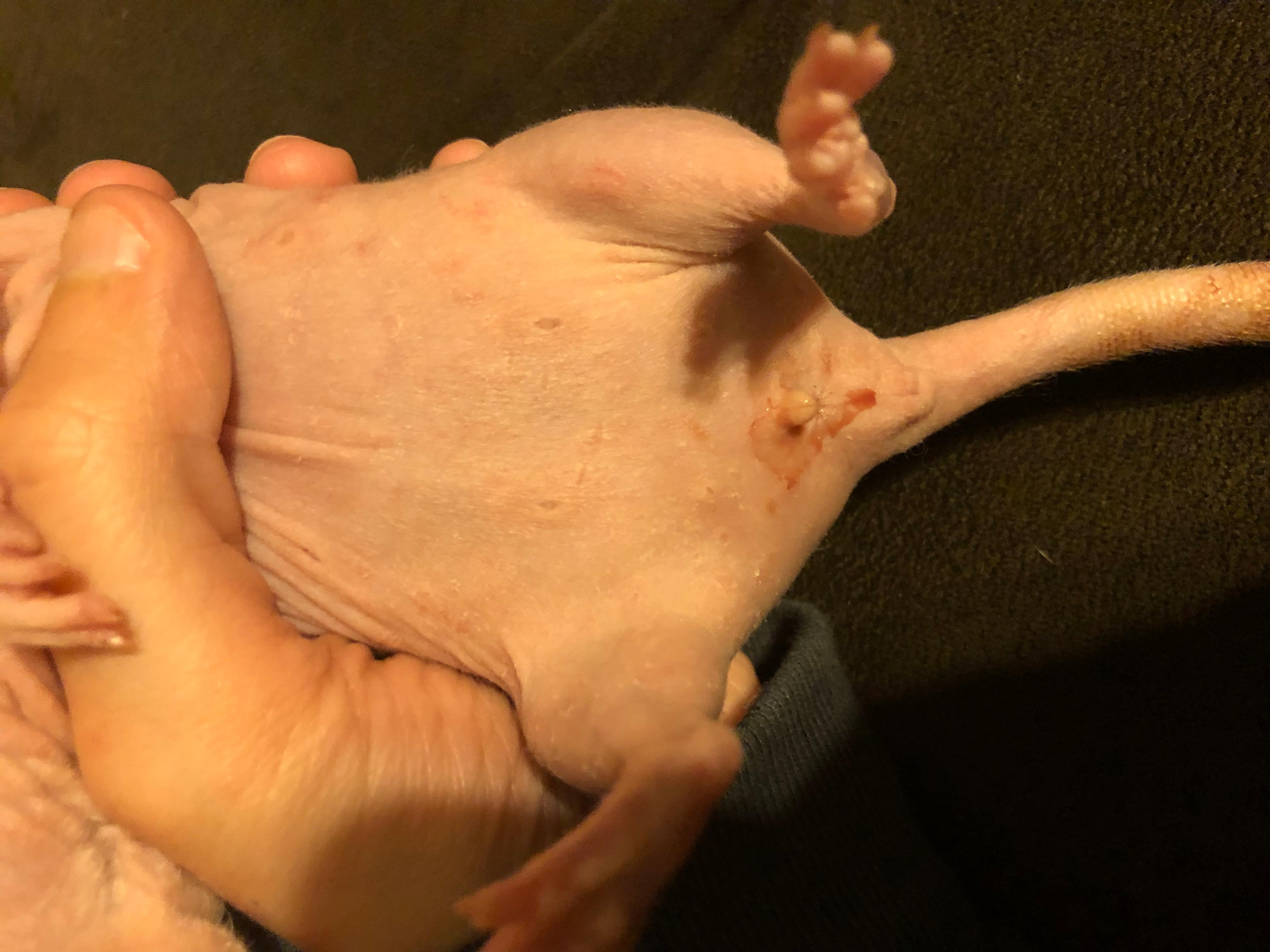 Question details sensitive content