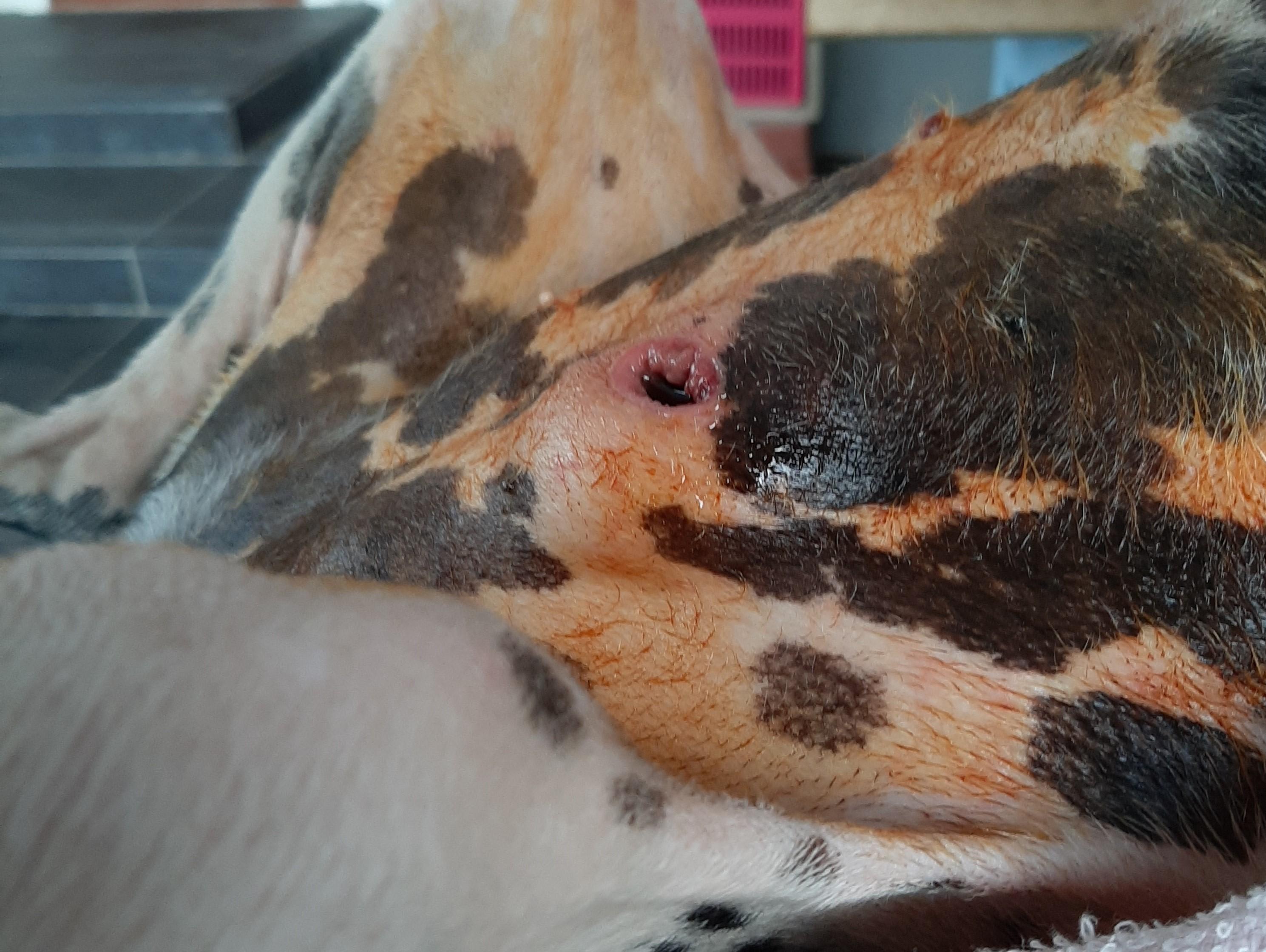 Question details sensitive content