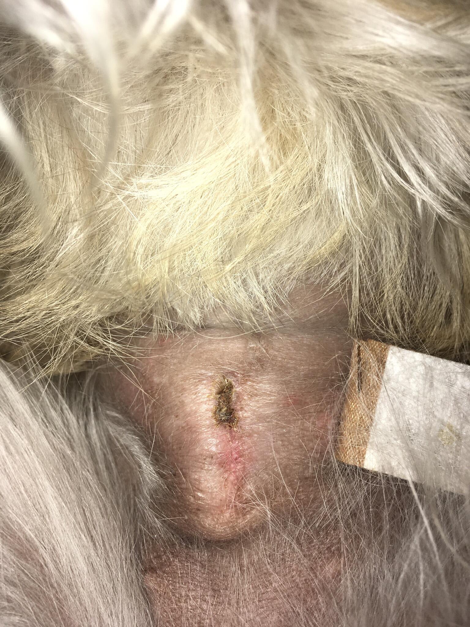 Question details sensitive content