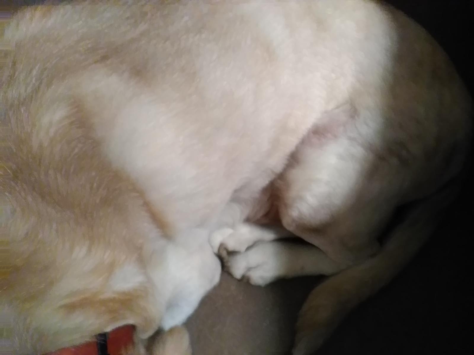 Question details sensitive content