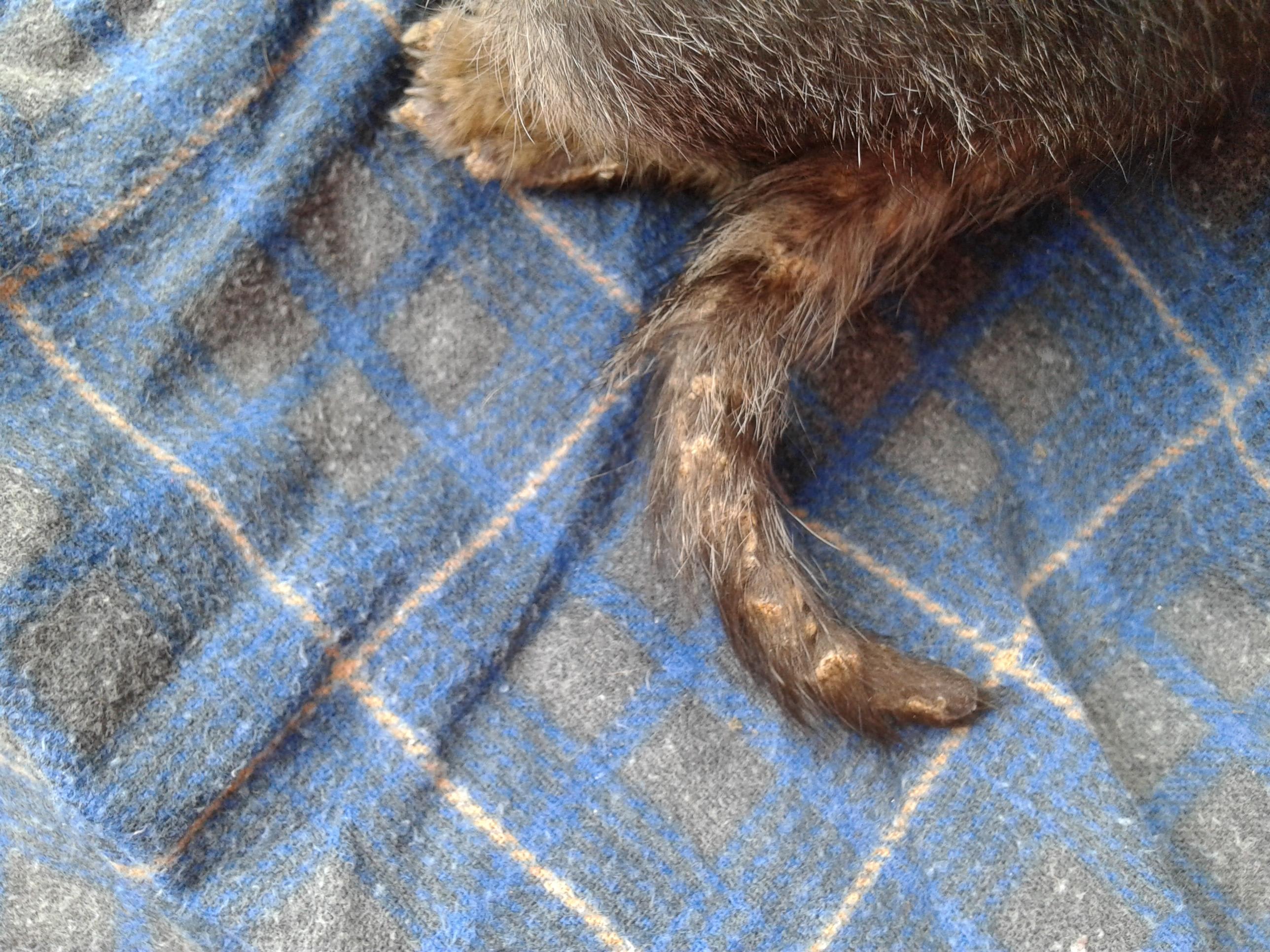 Question details sensitive content