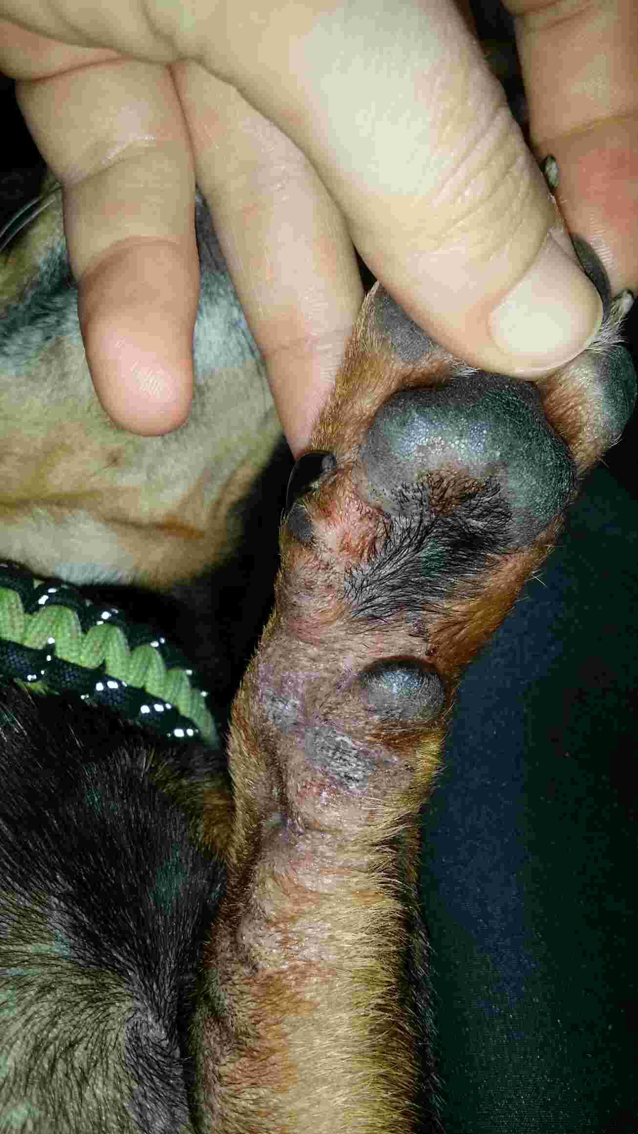 Question details sensitive content