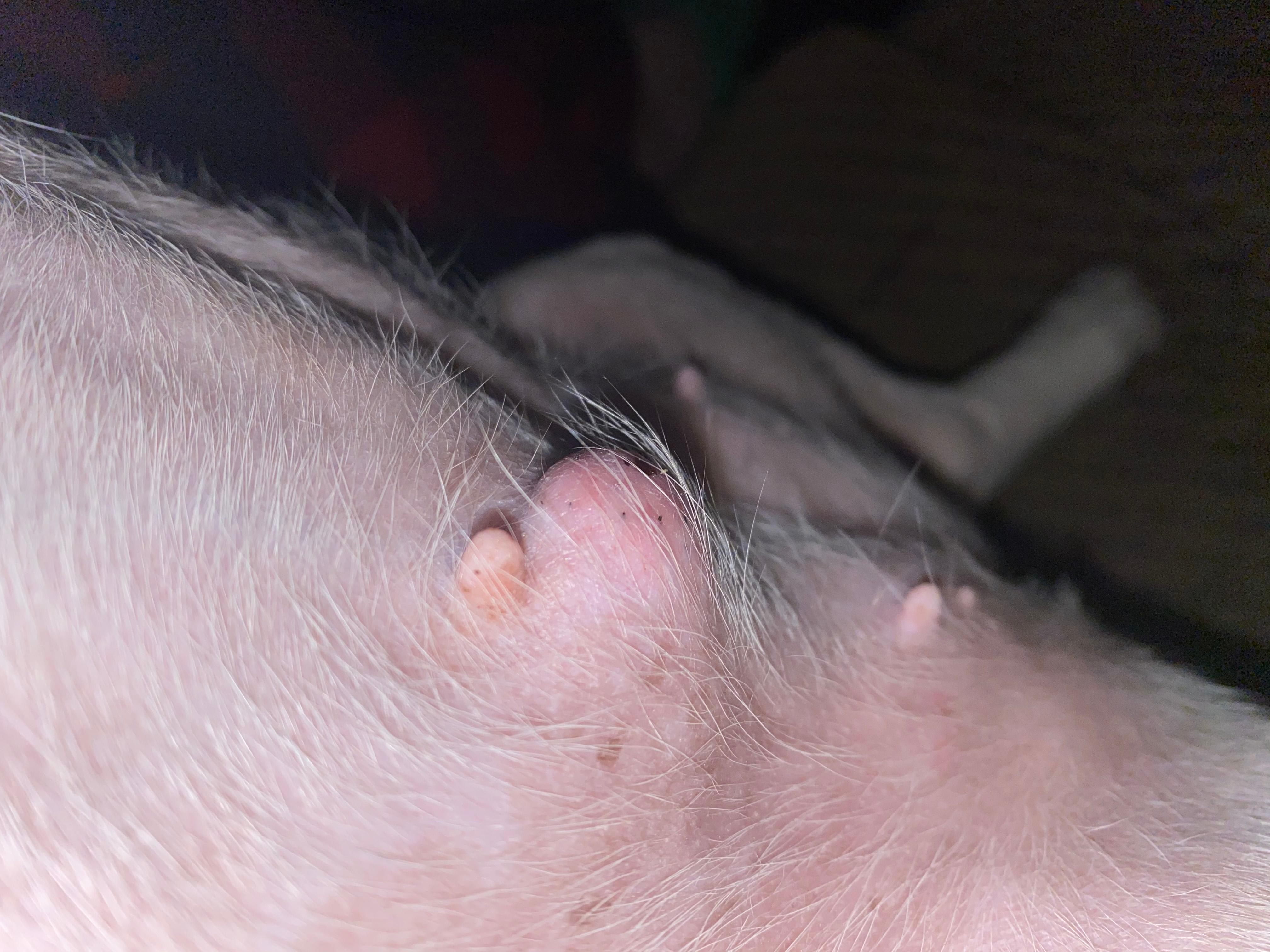 Question details sensitive content