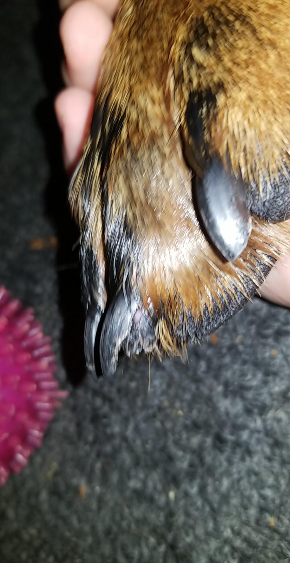 Question details sensitive content