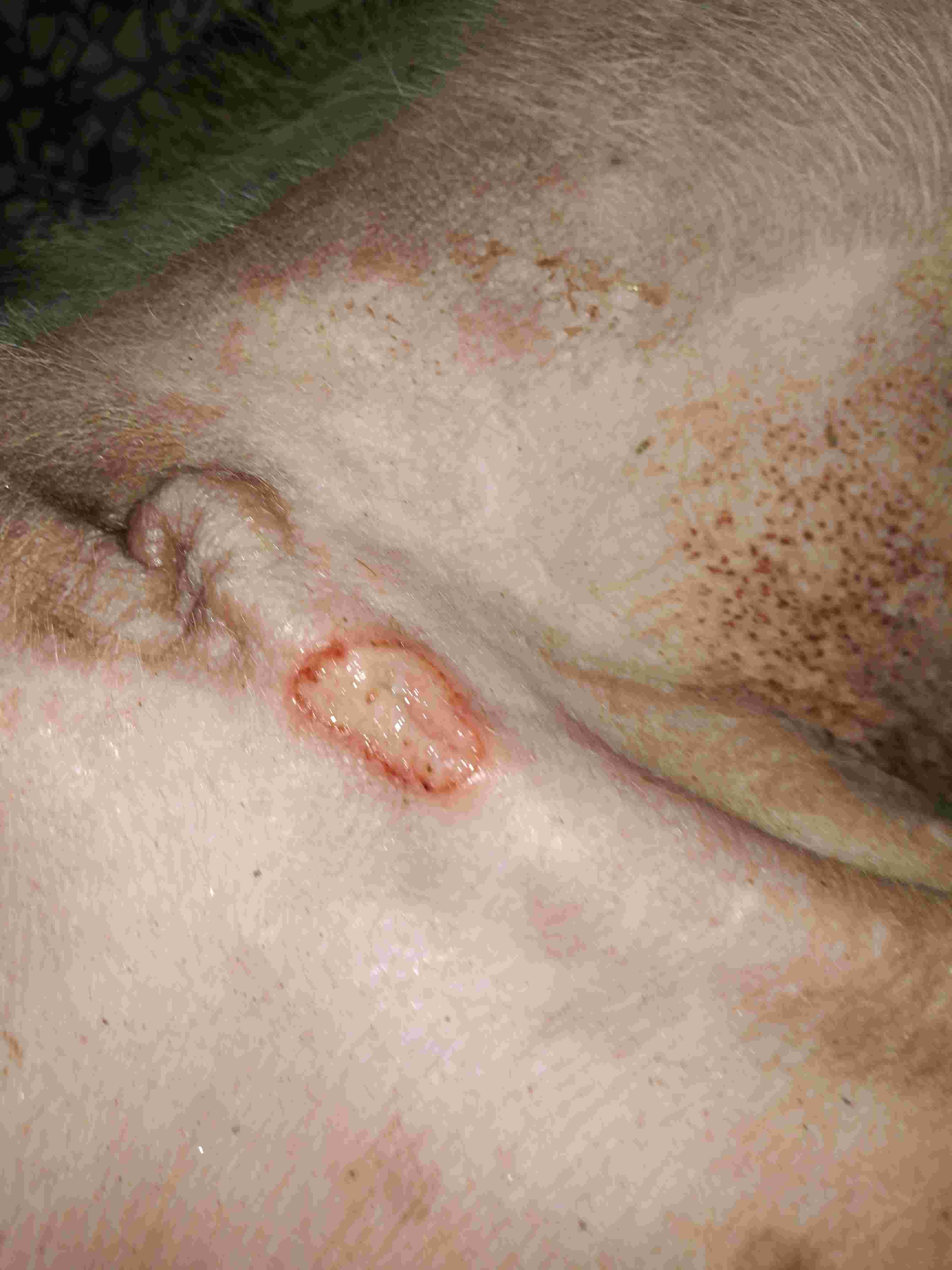 Question details sensitive content