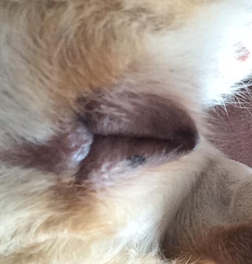 Question details sensitive content