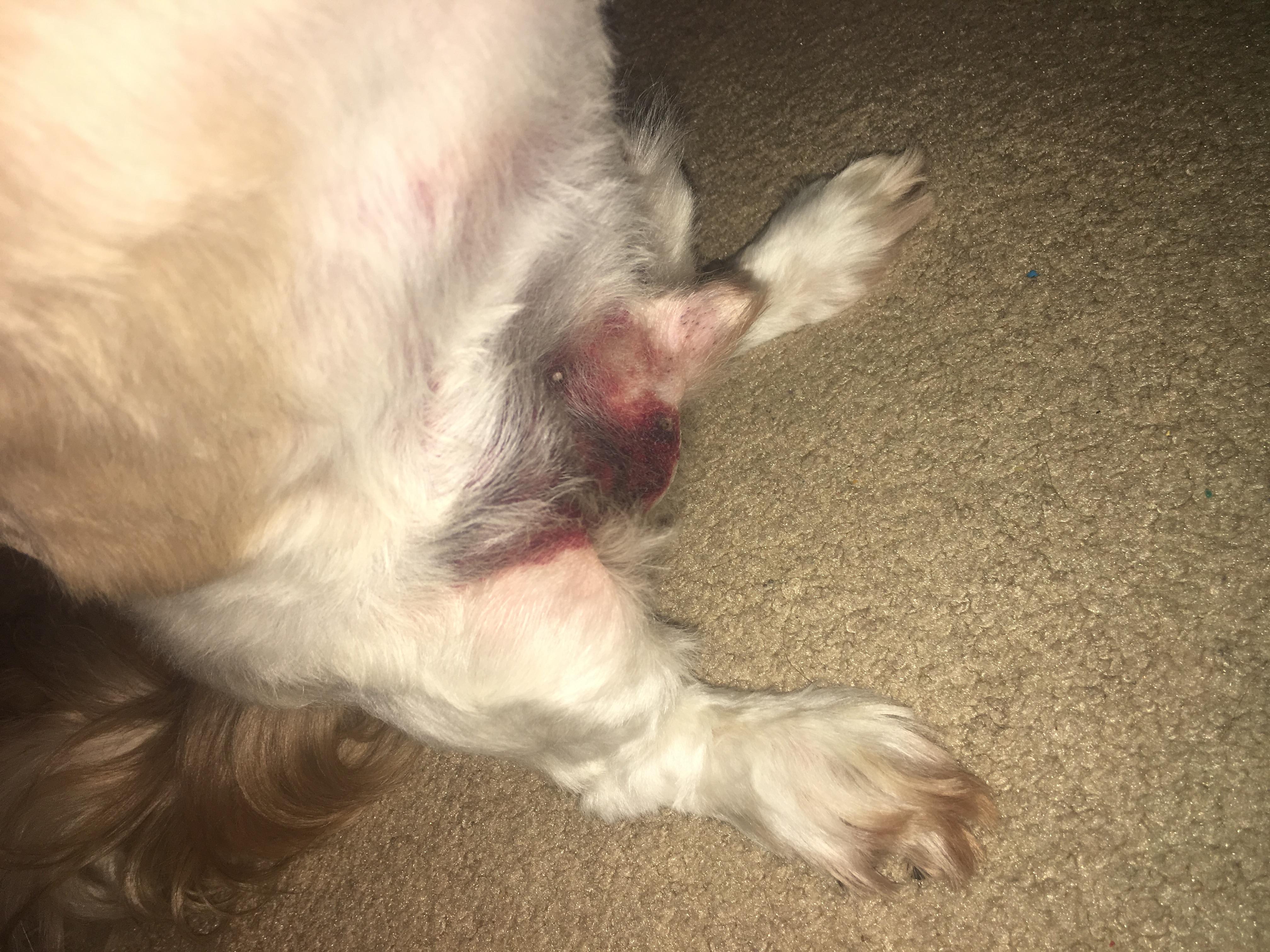 Question details sensitive content