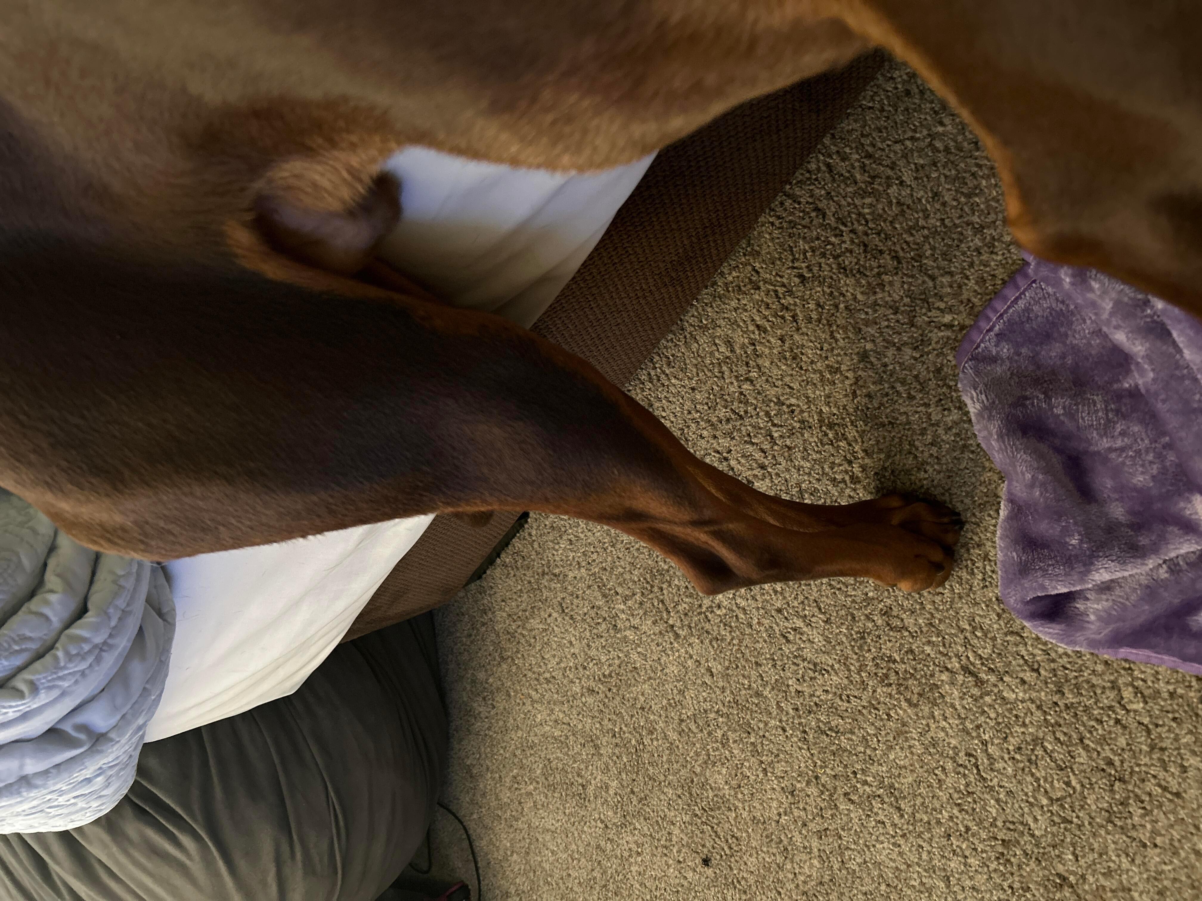 Question details sensitive content