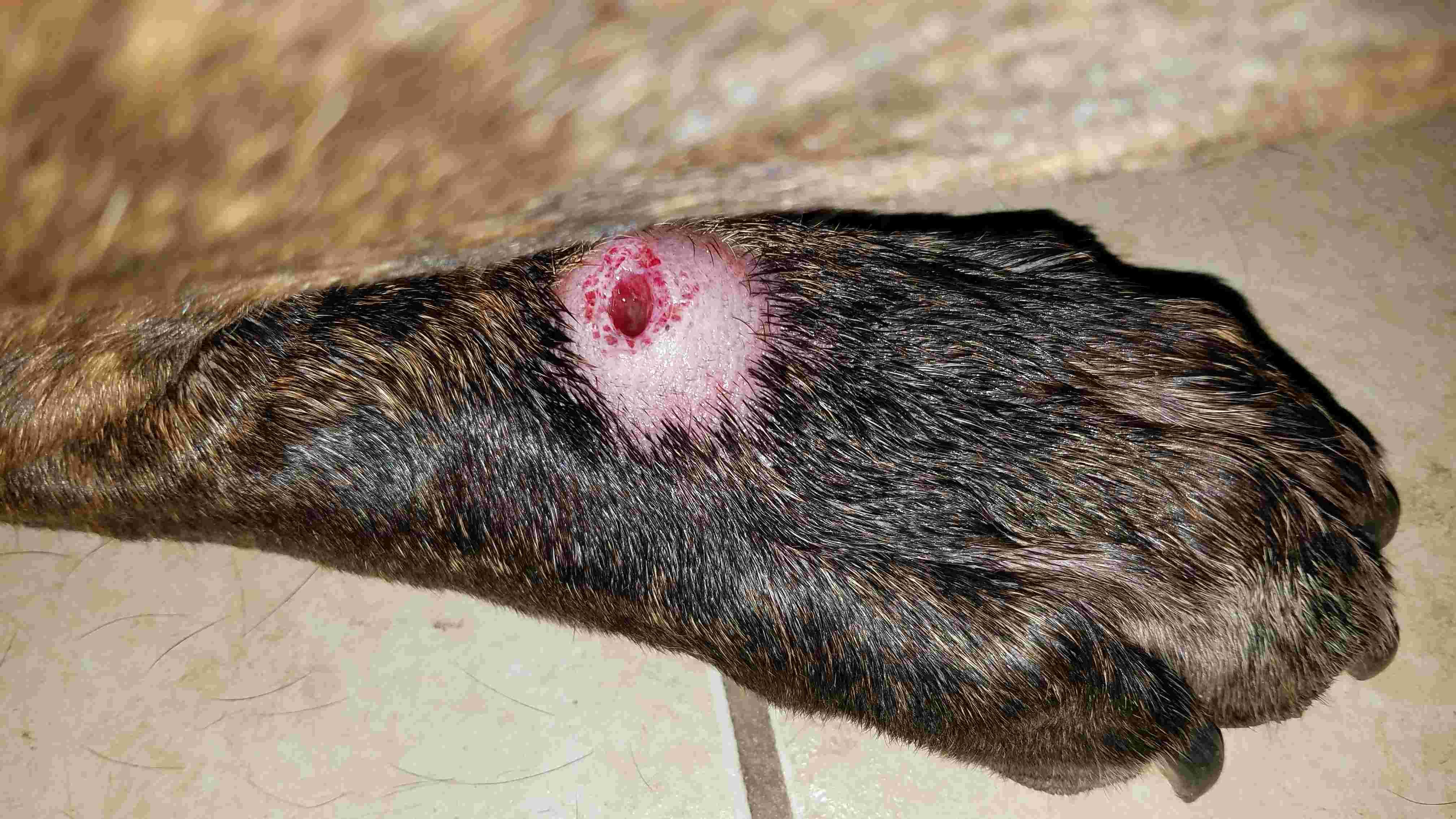 Question details sensitive content