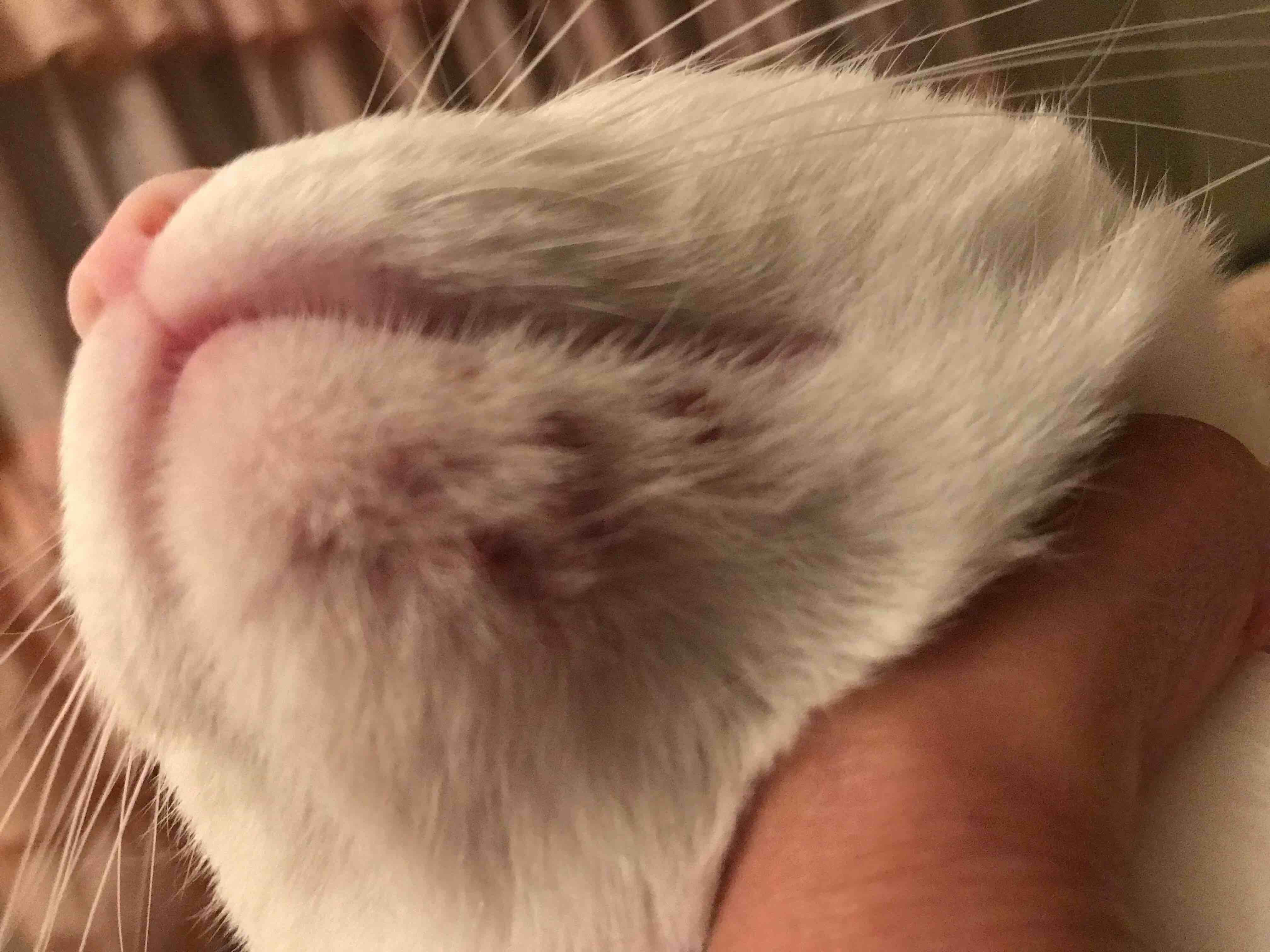 Question details sensitive content