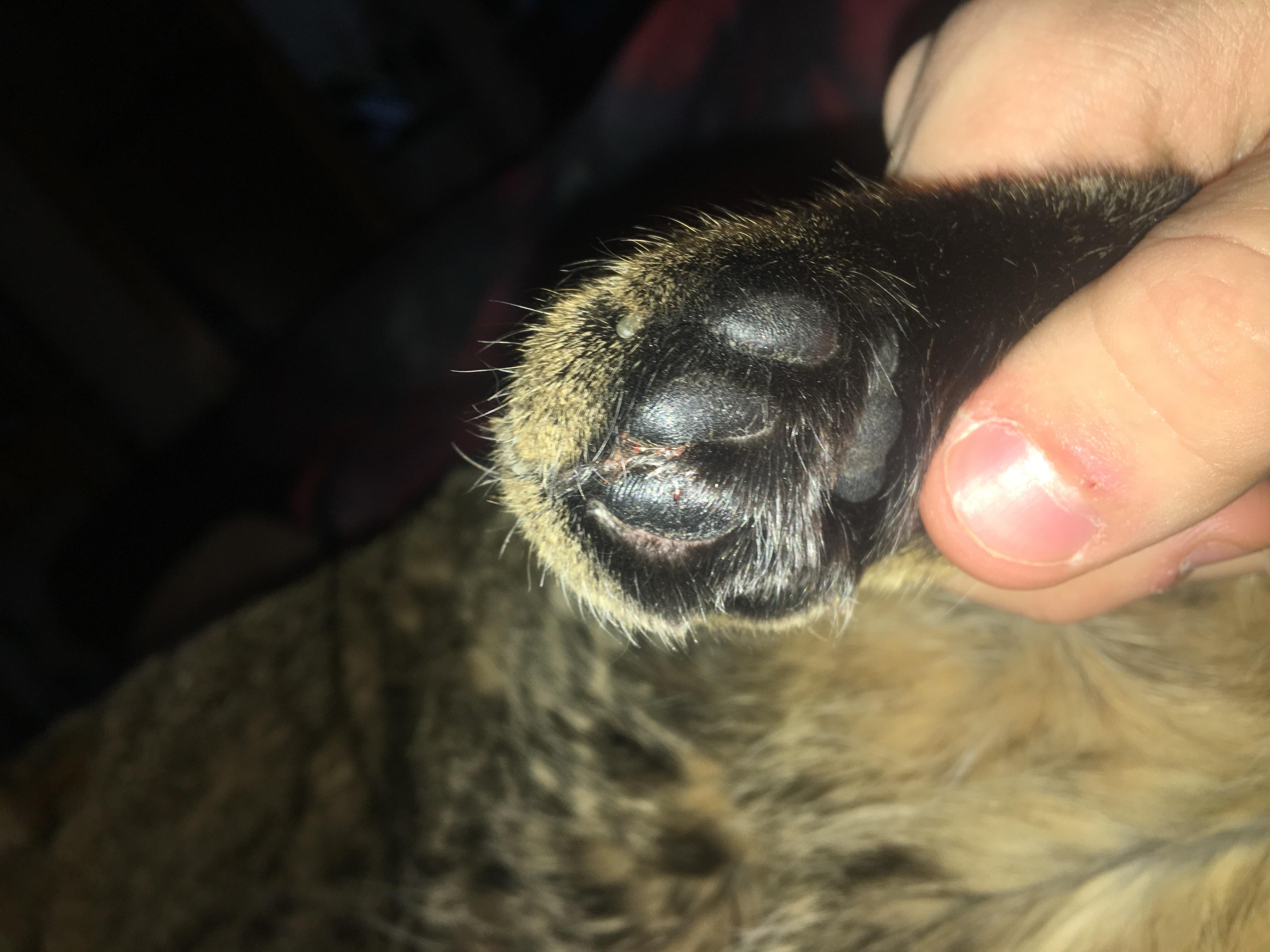 Question details sensitive content