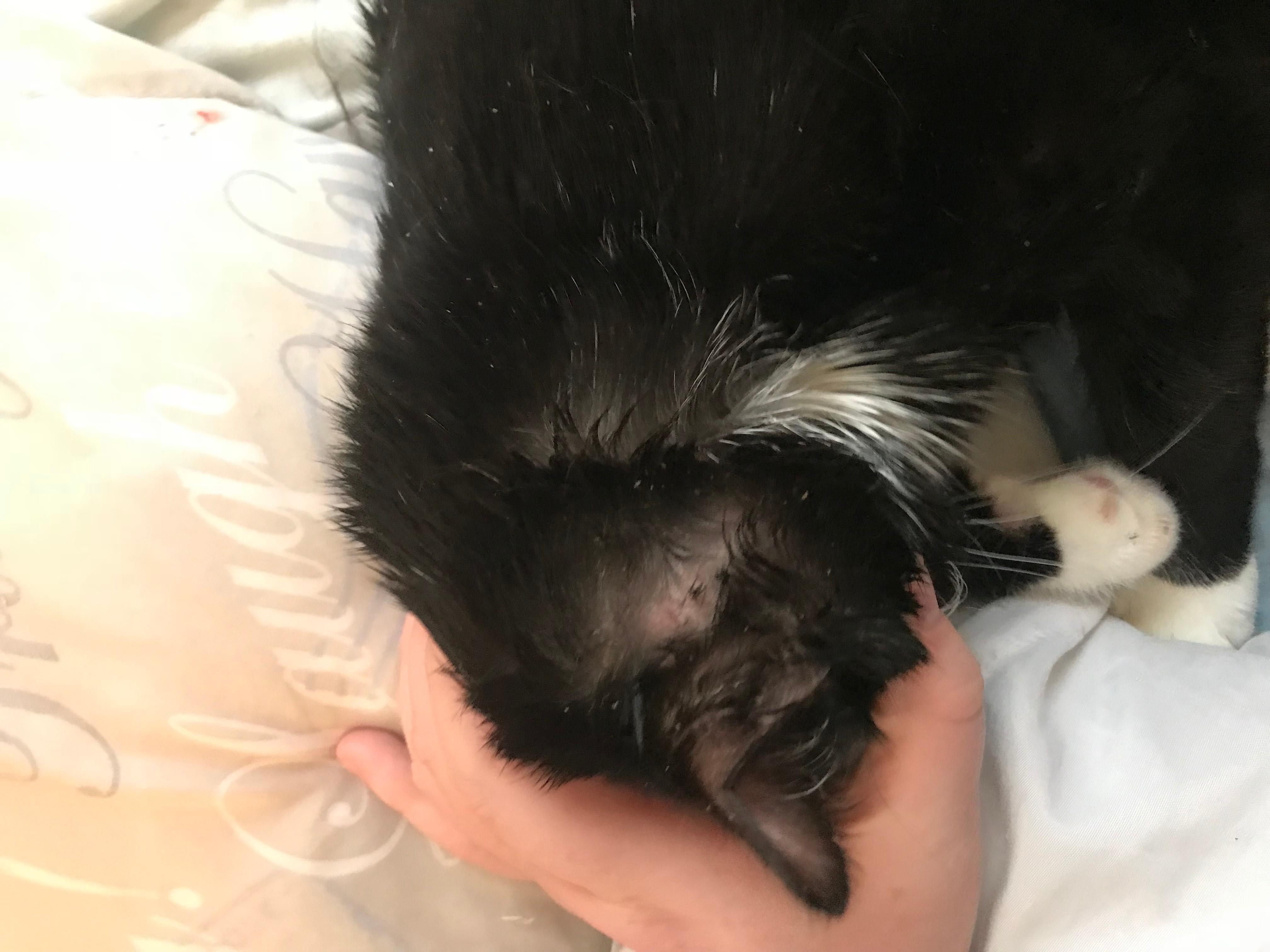 Question details sensitive content