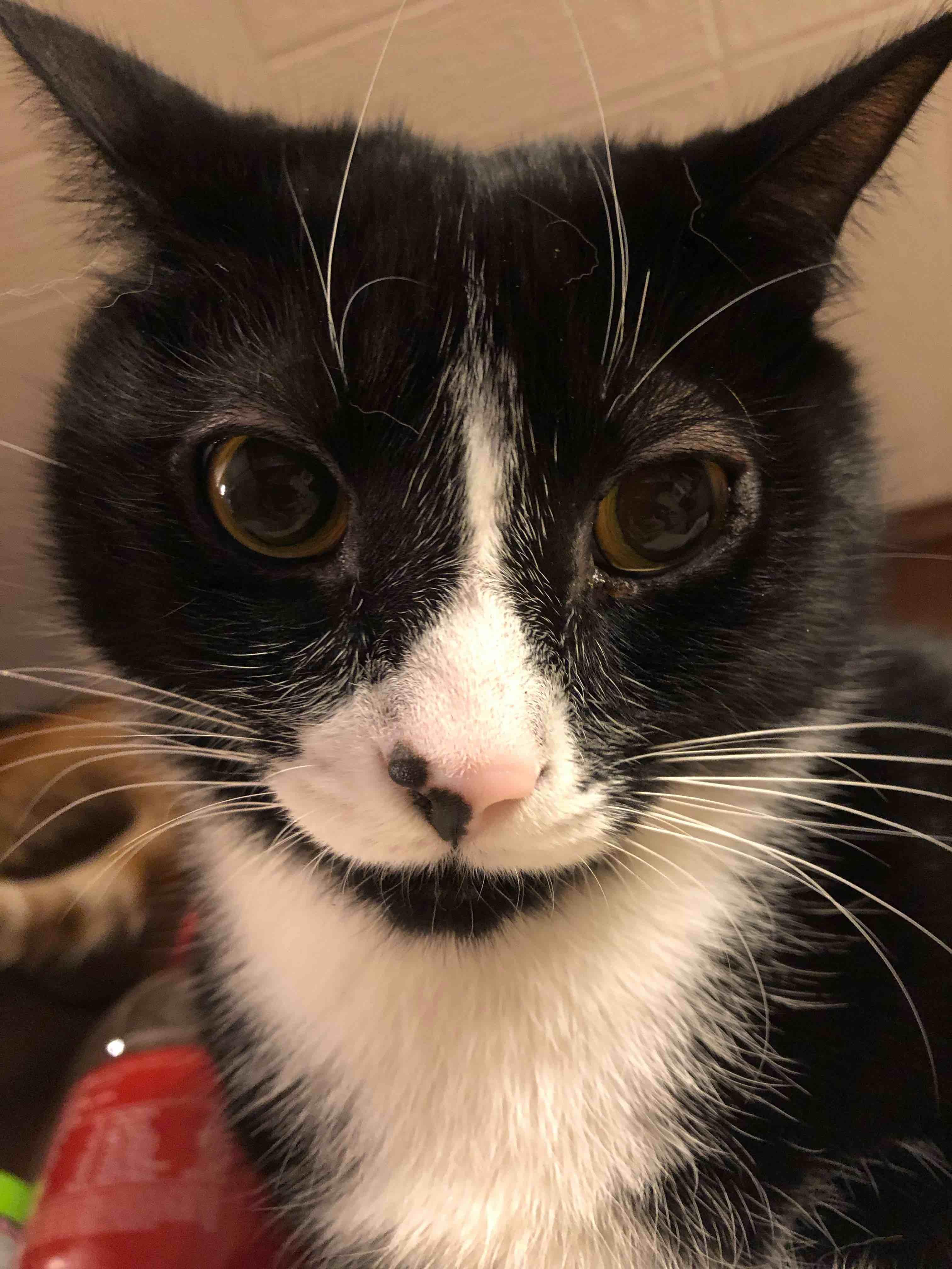 Question details sensitive content