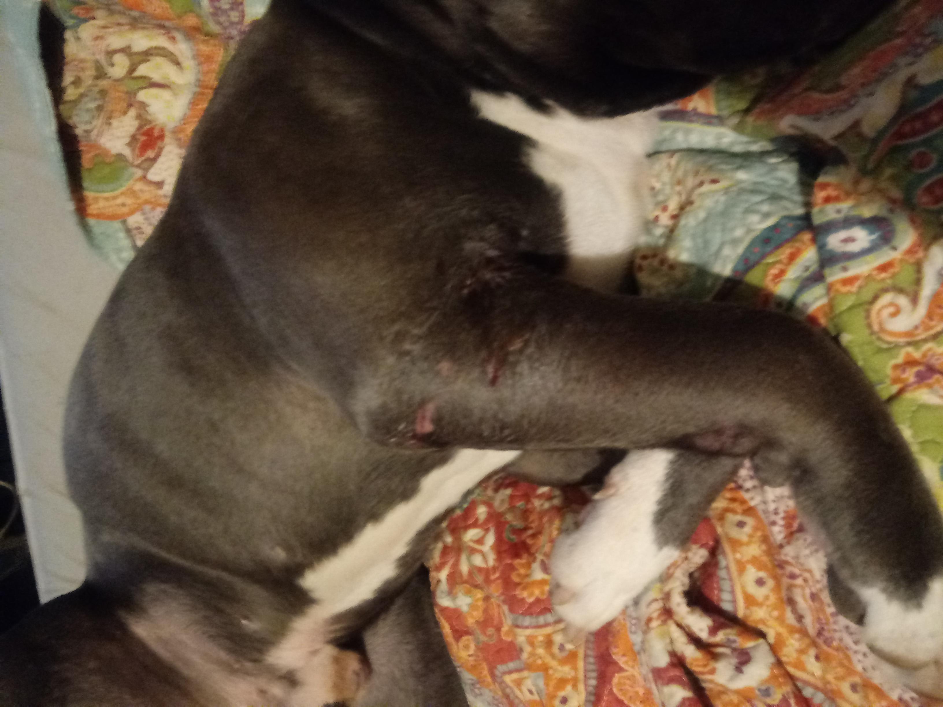 Question details sensitive content