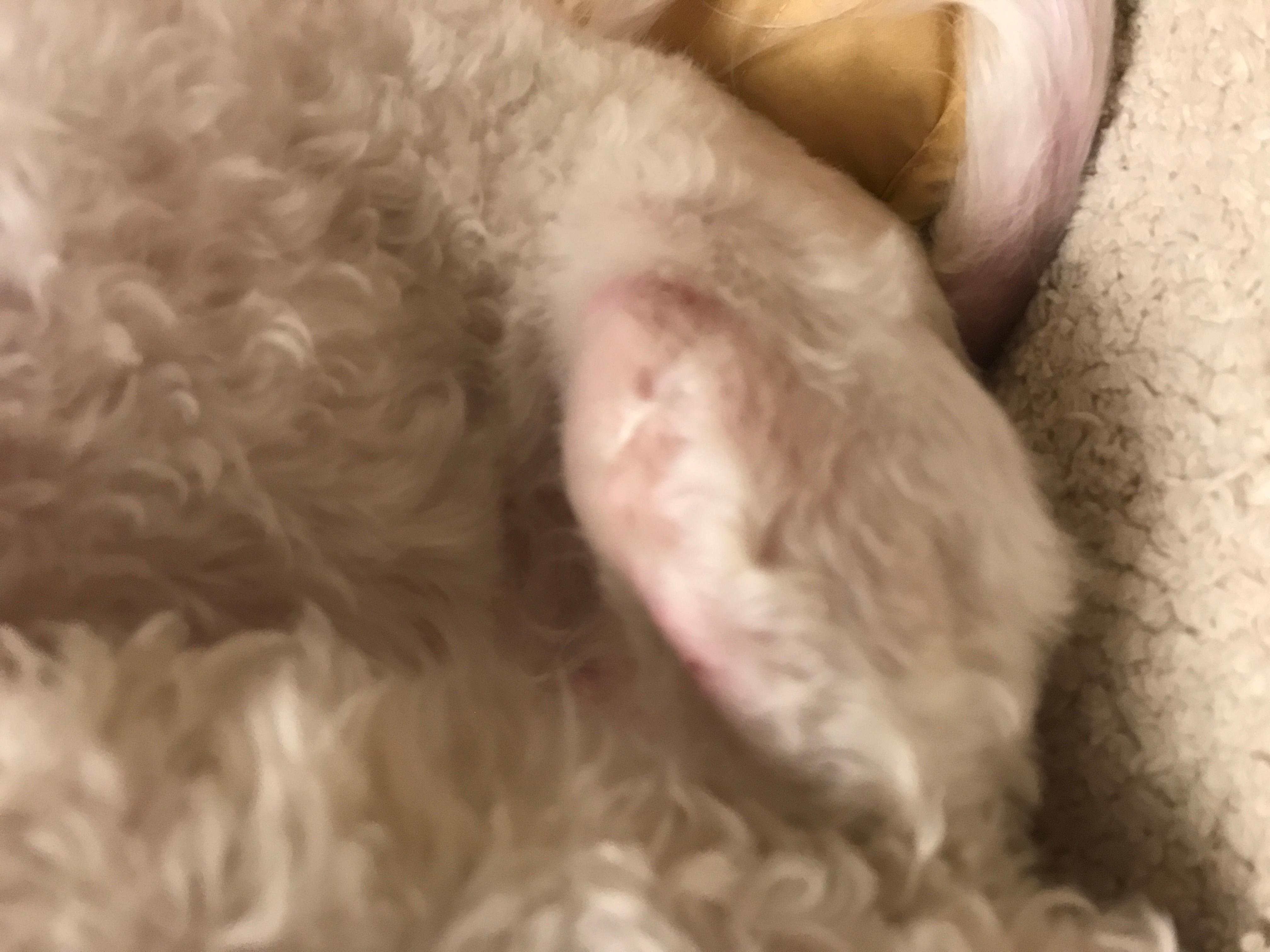 Question details sensitive content