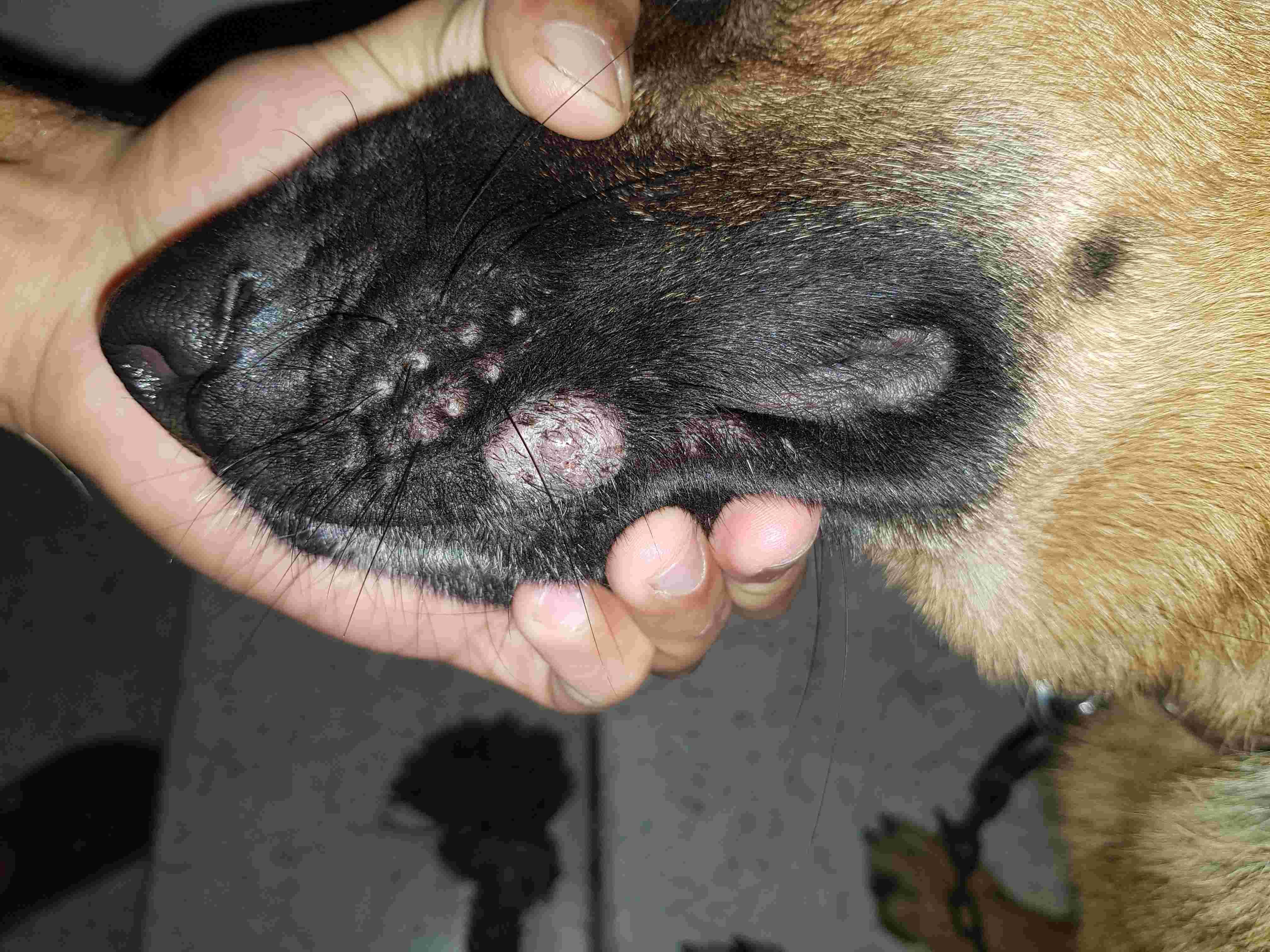 Question details sensitive content