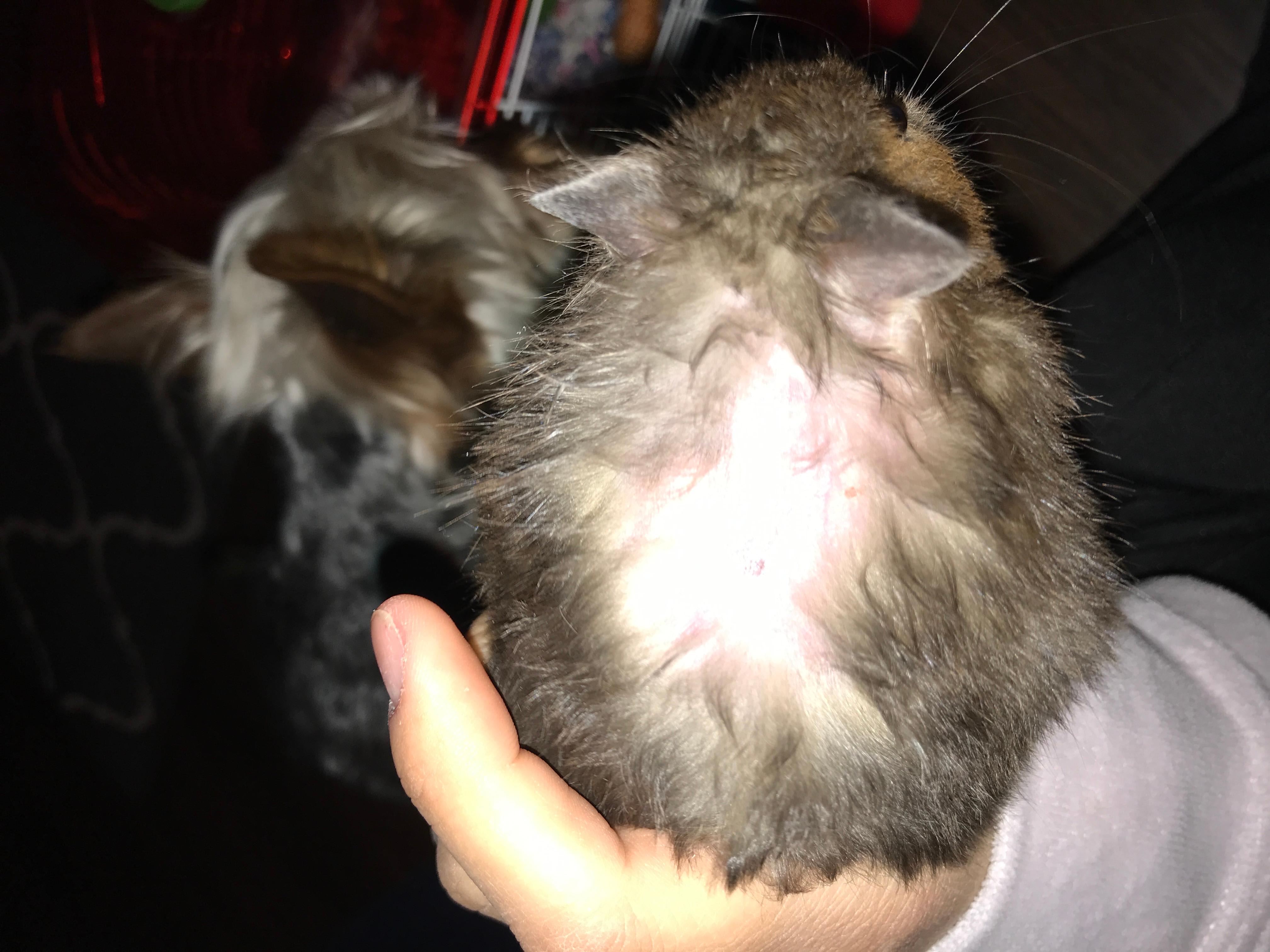 Question details sensitive content