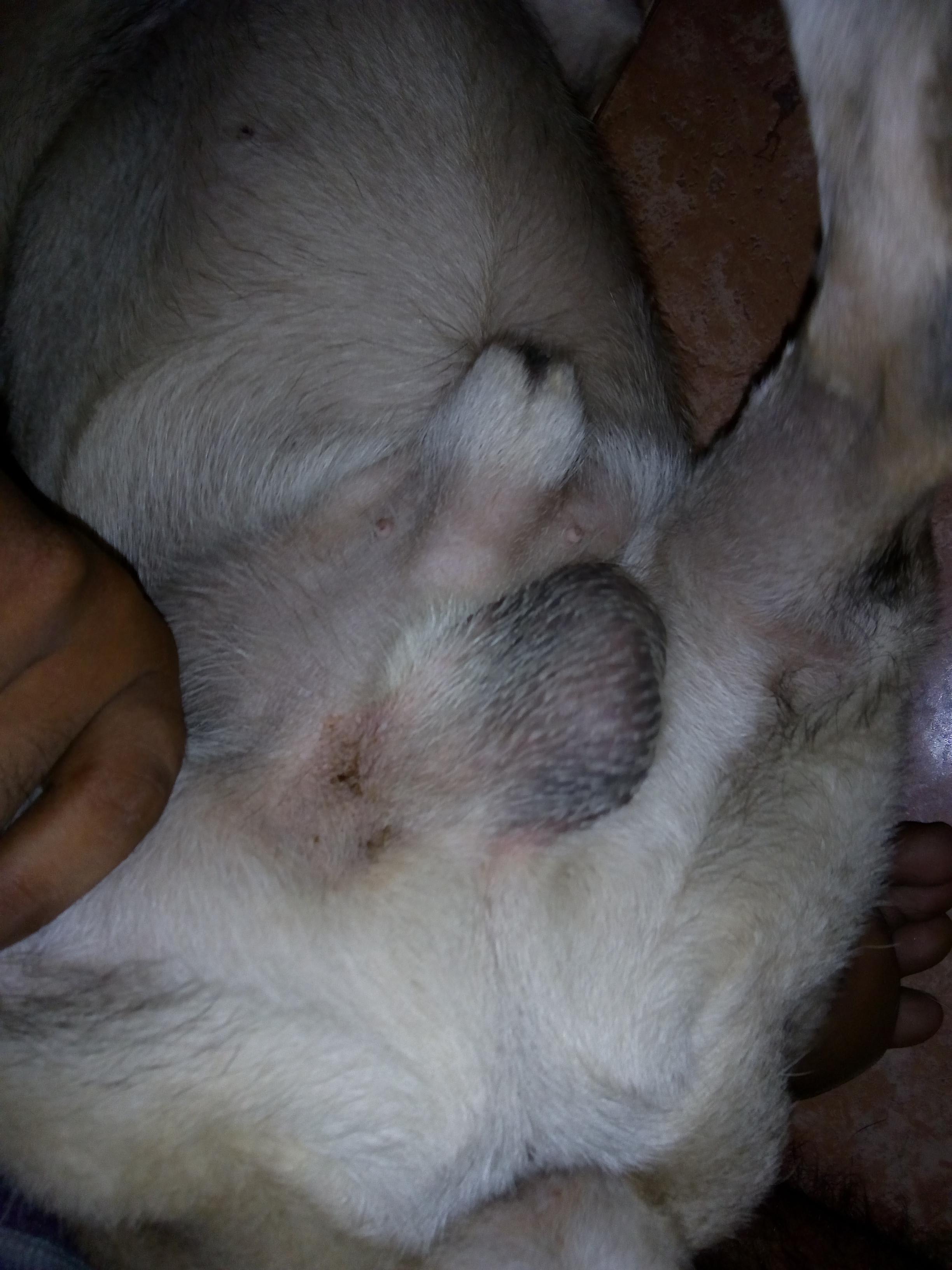 Question details sensitive content