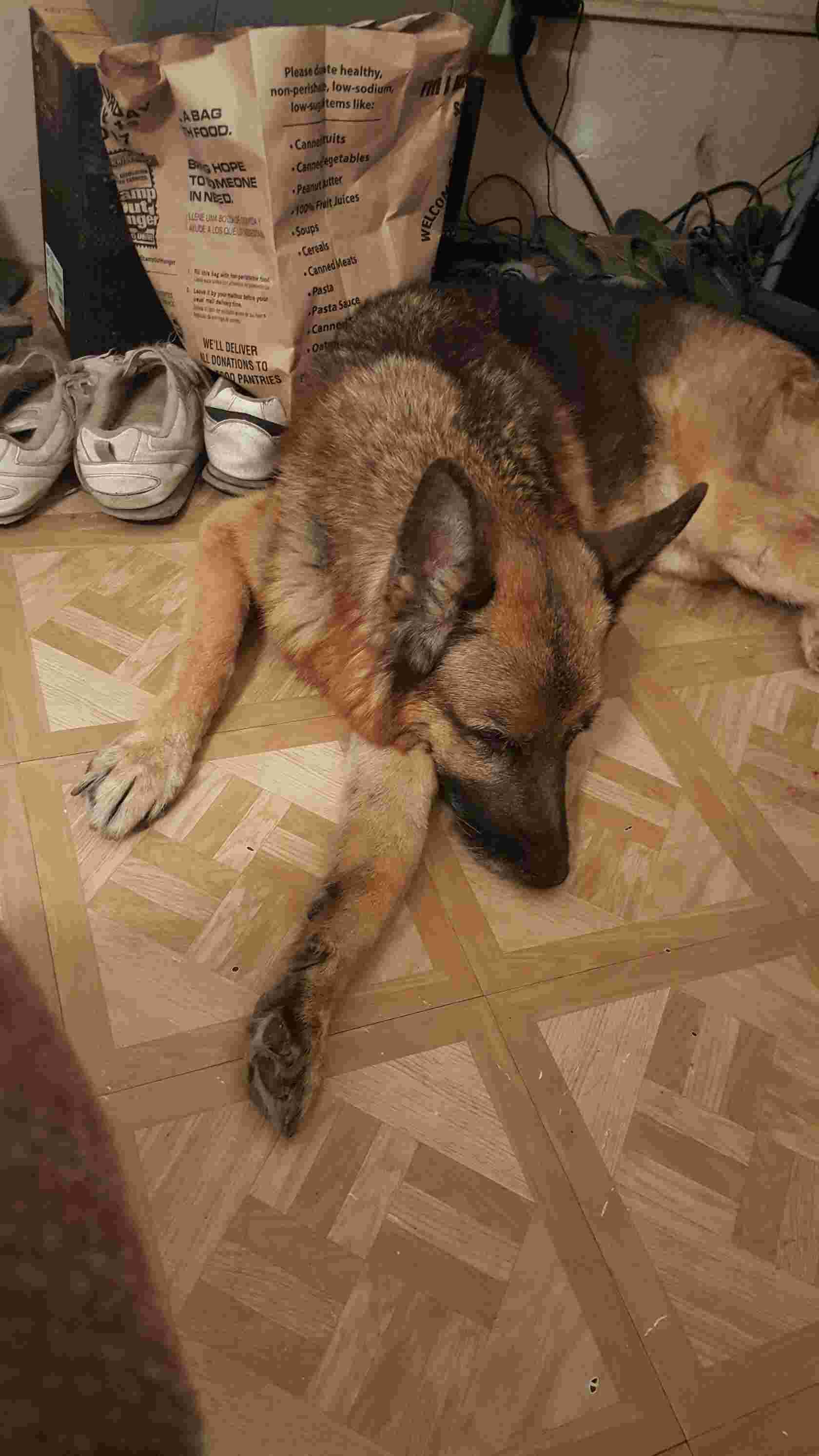 Question details sensitive content