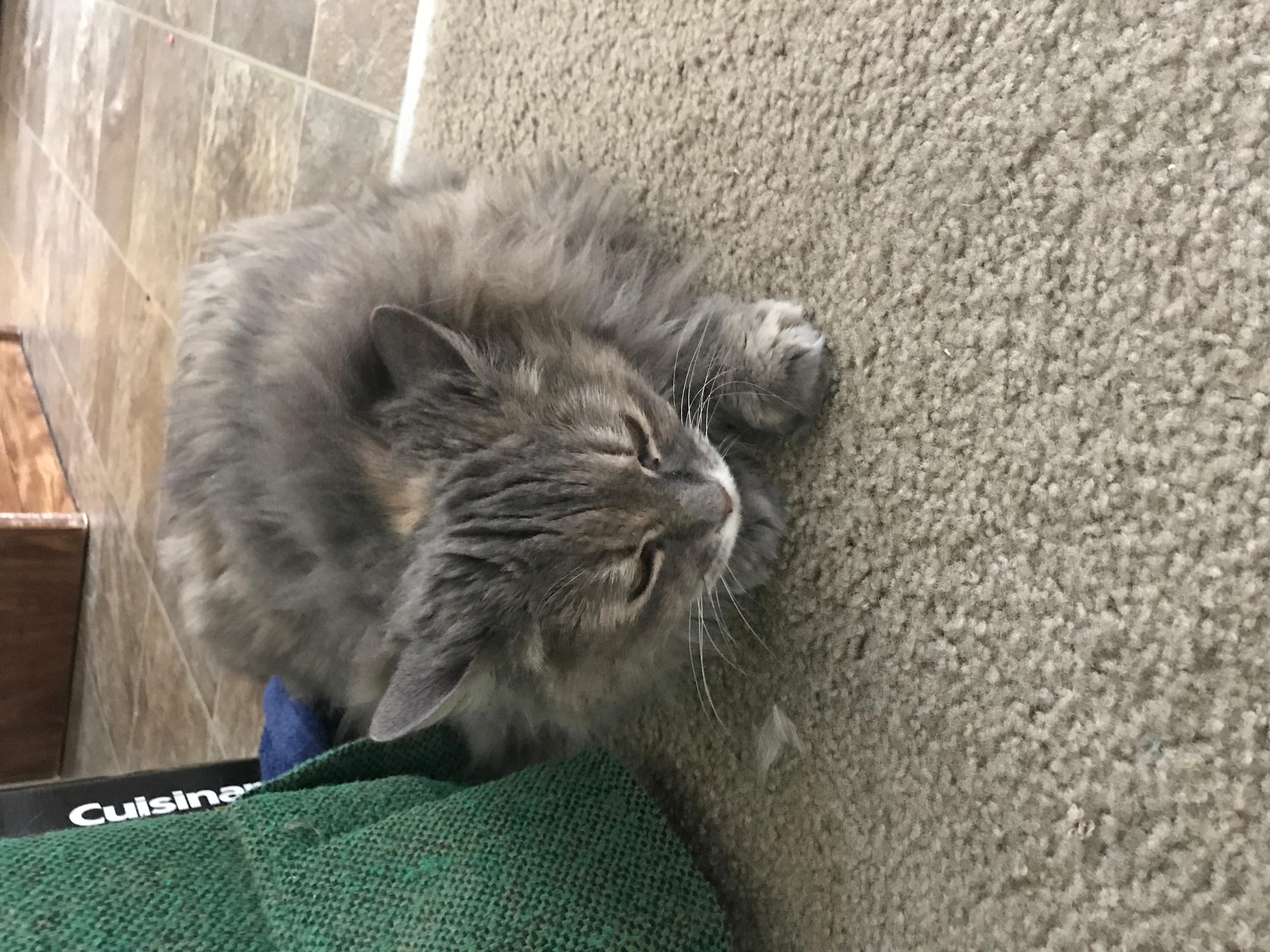 Question details sensitive content