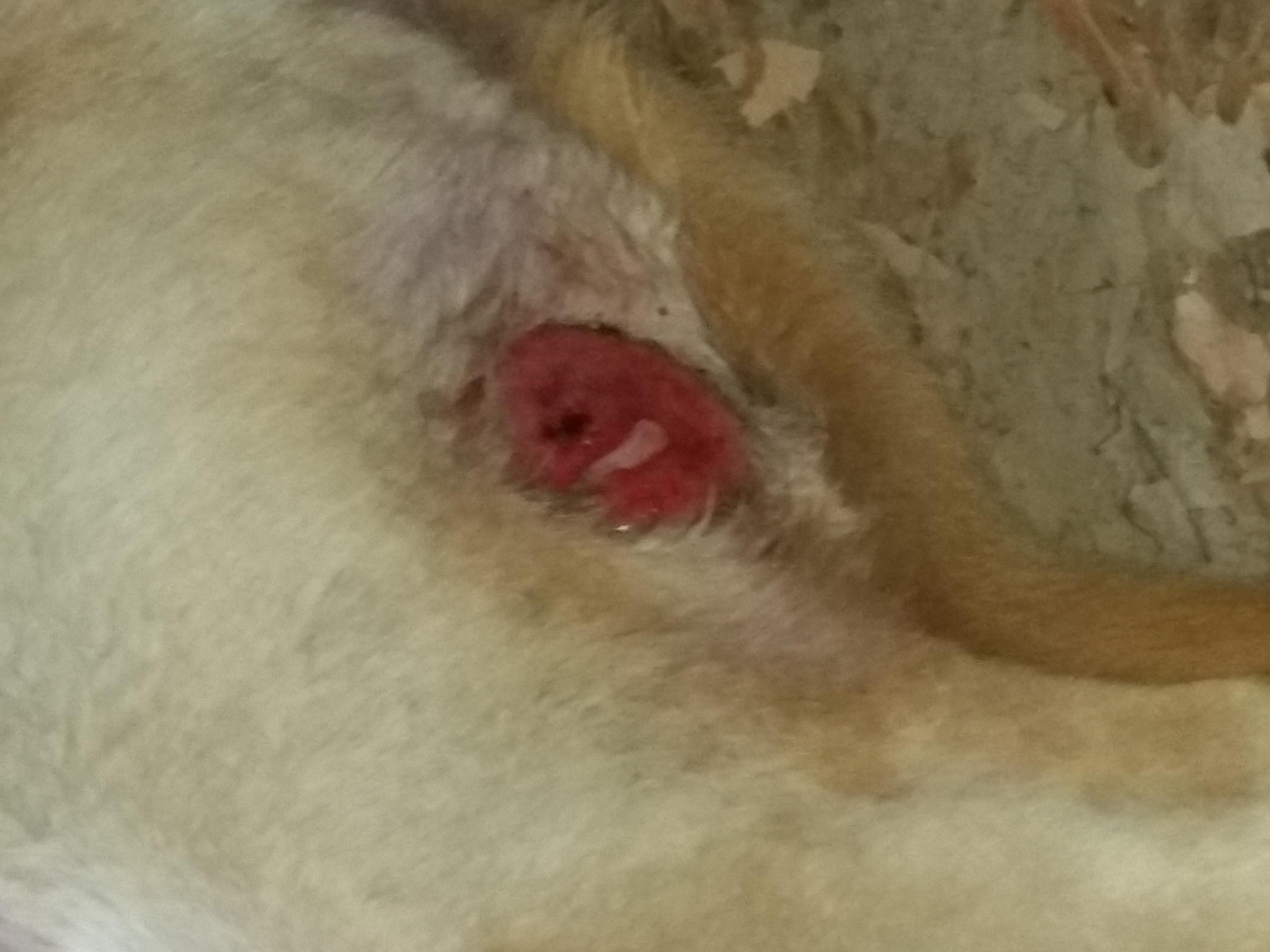 Question details sensitive content