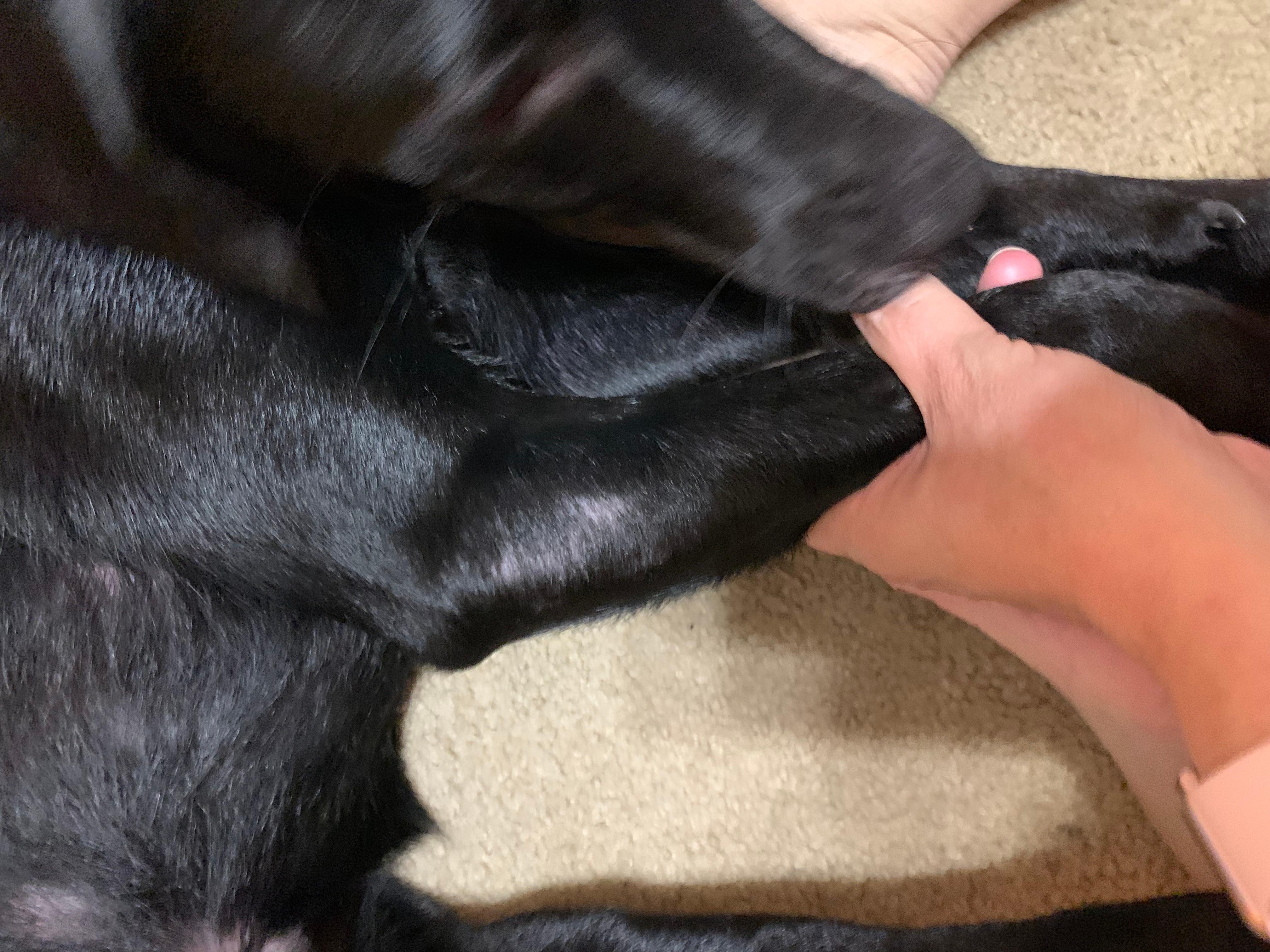 Question details sensitive content